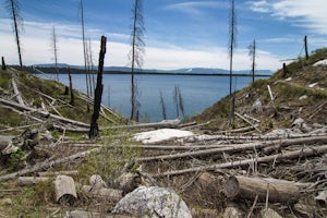 Jenny Lake Loop