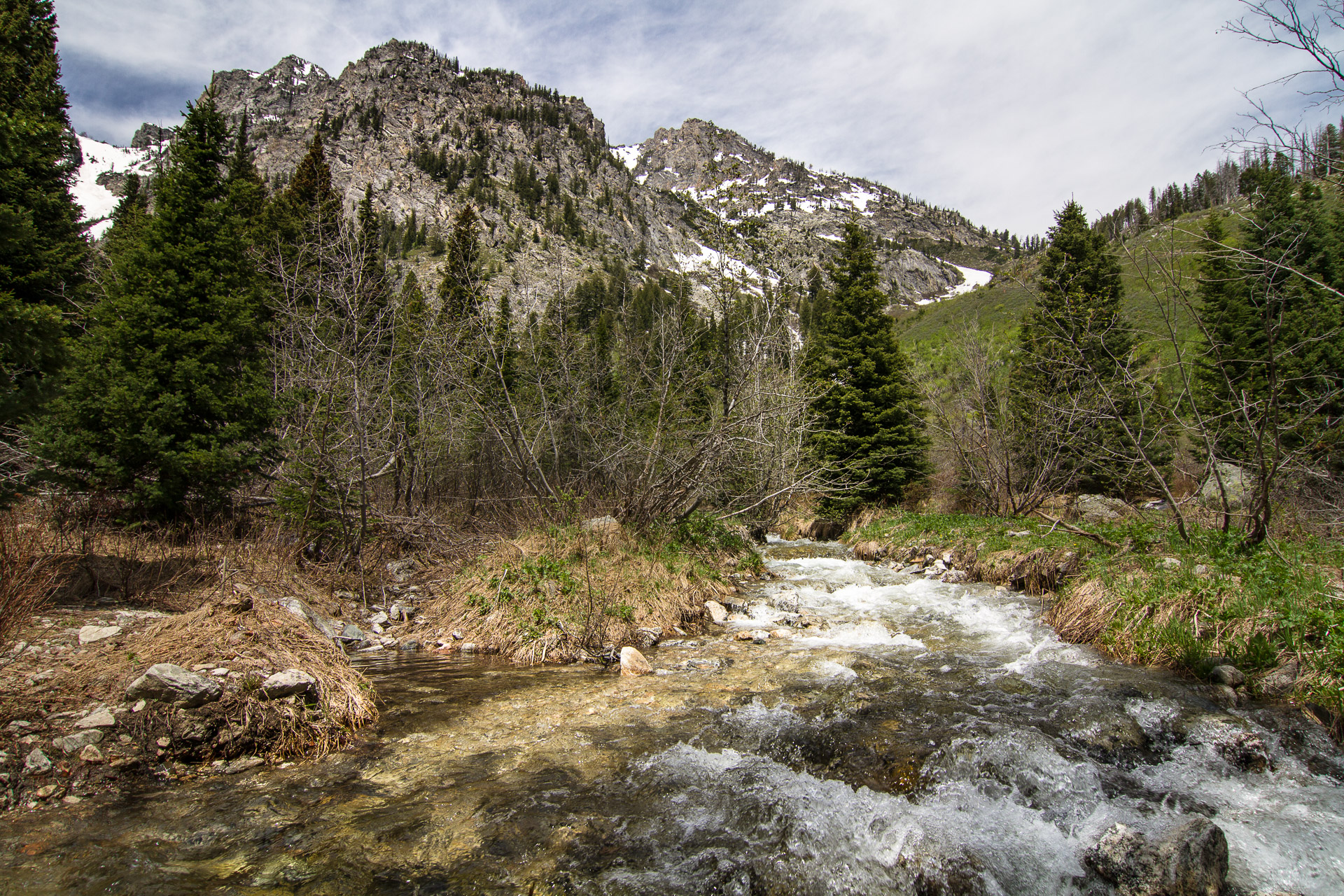 Jenny Lake Loop