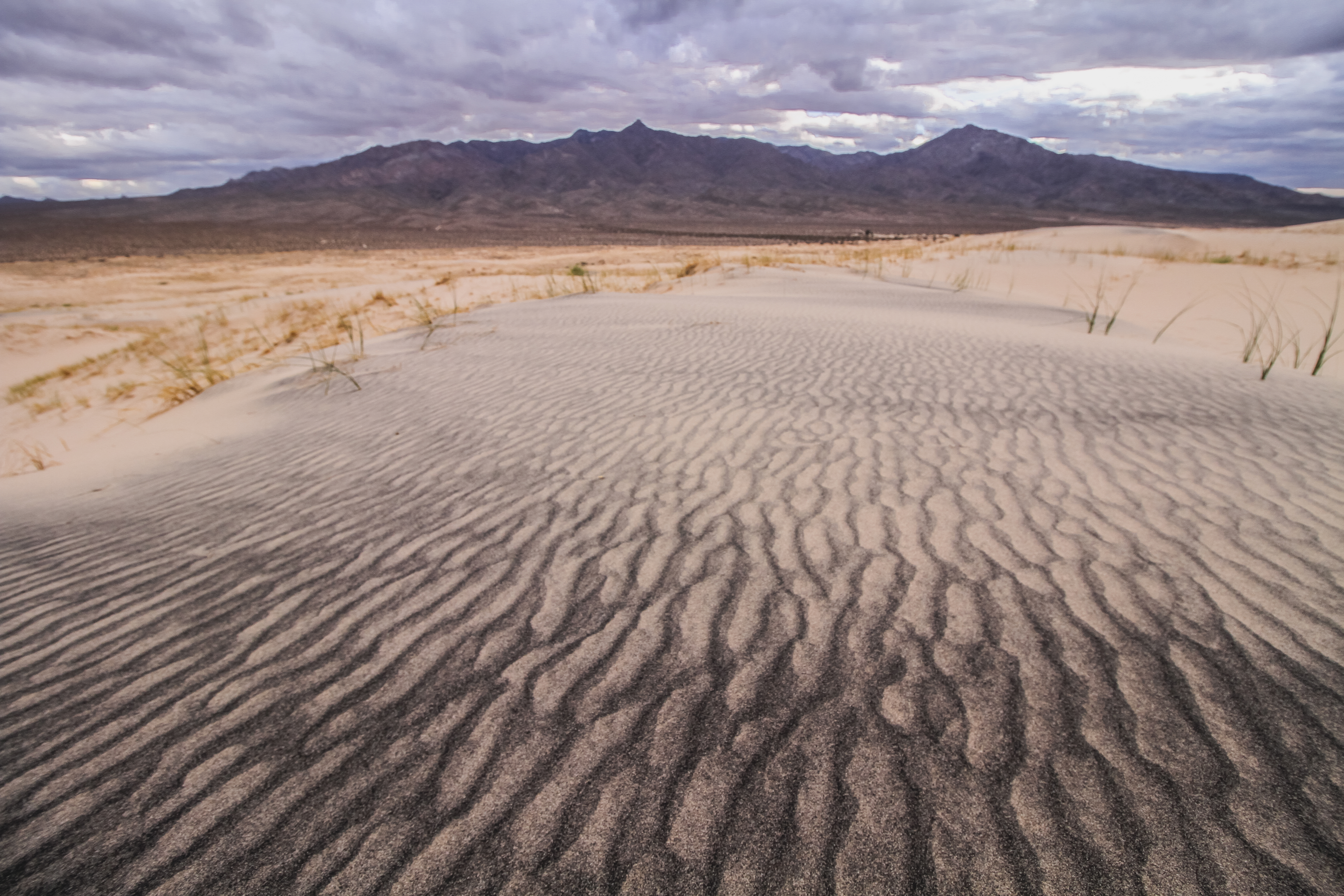 Kelso Dunes