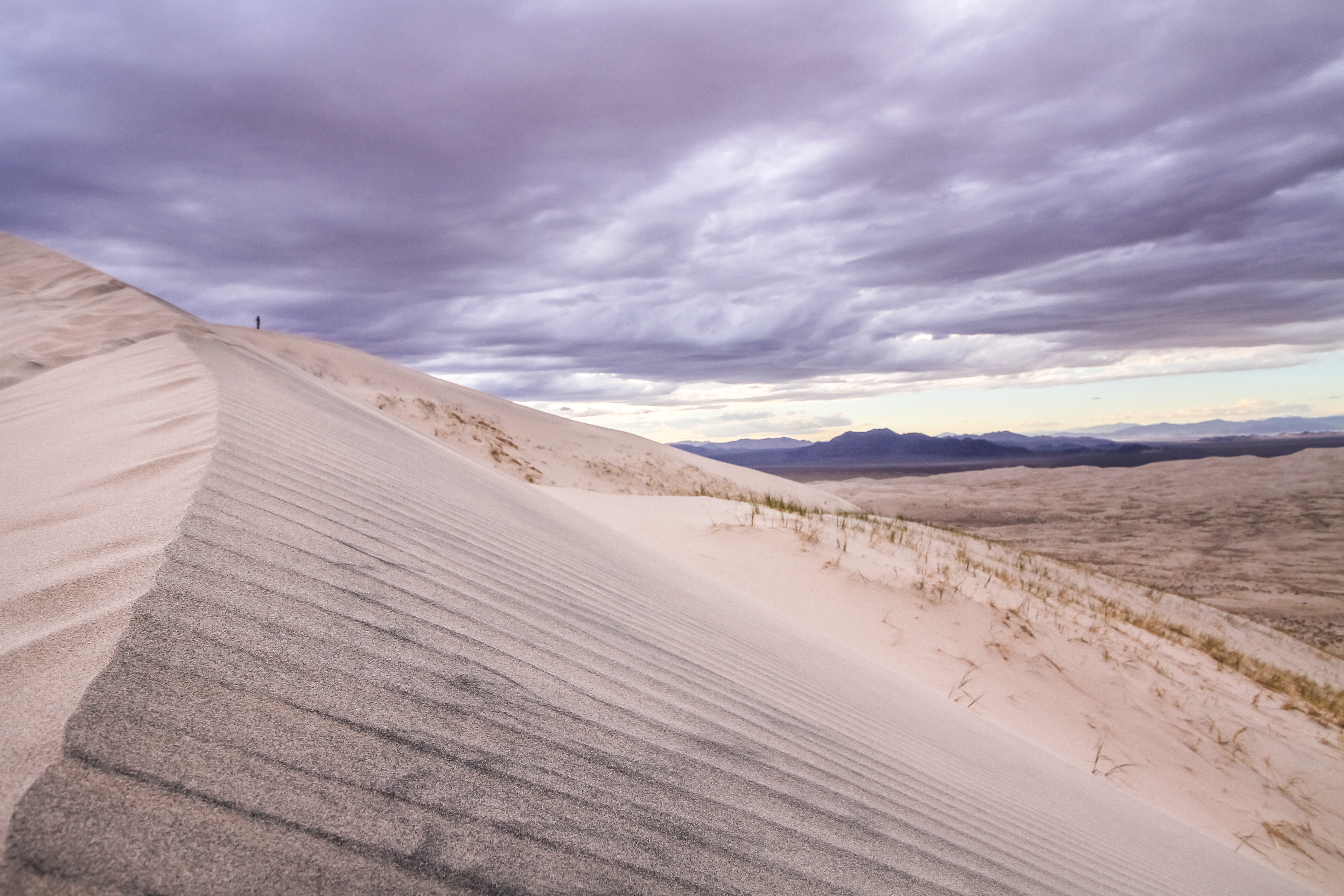Kelso Dunes