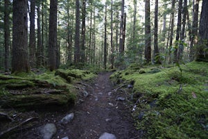 Hike up the South Slopes of Mount Jefferson