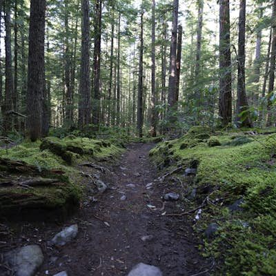 Hike up the South Slopes of Mount Jefferson