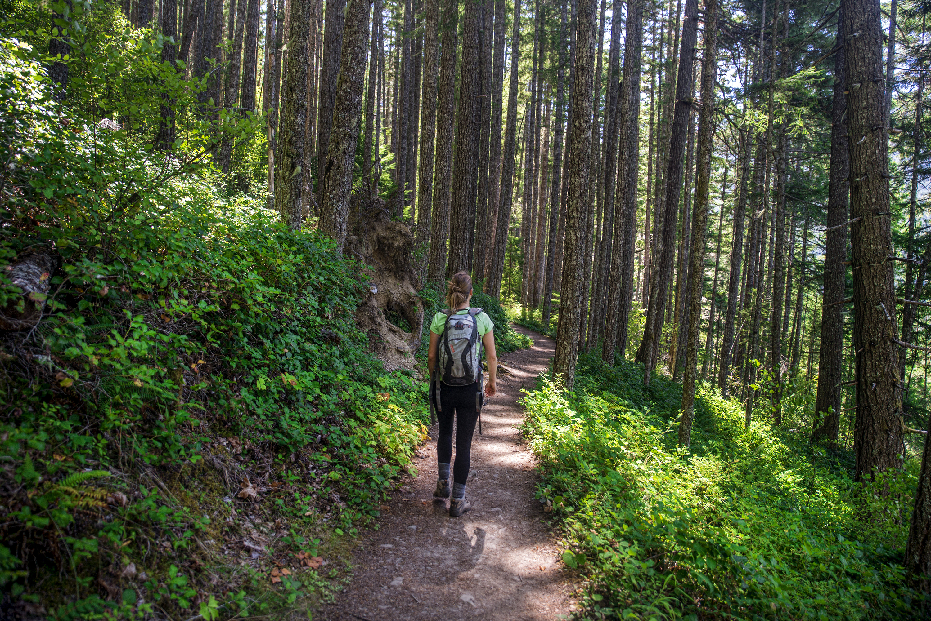 Humes Ranch and Goblin Gates