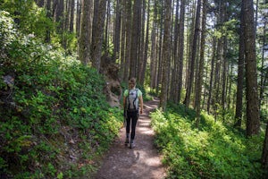 Hike Through History Along the Elwha River