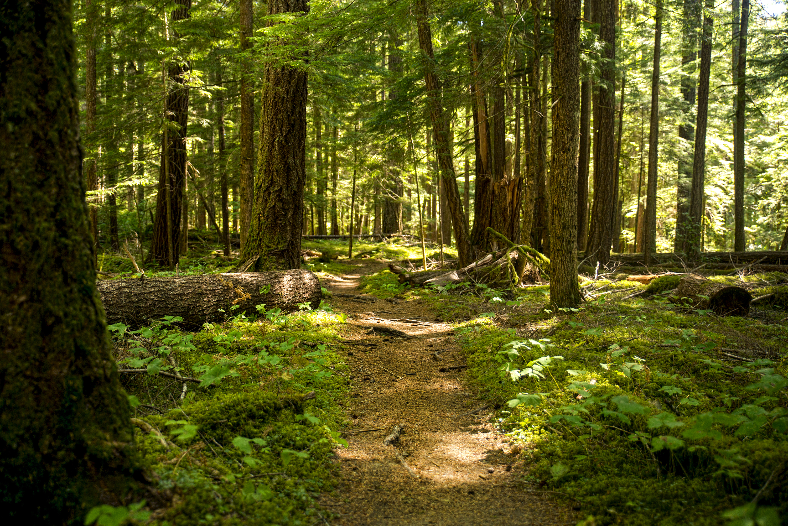 Humes Ranch and Goblin Gates