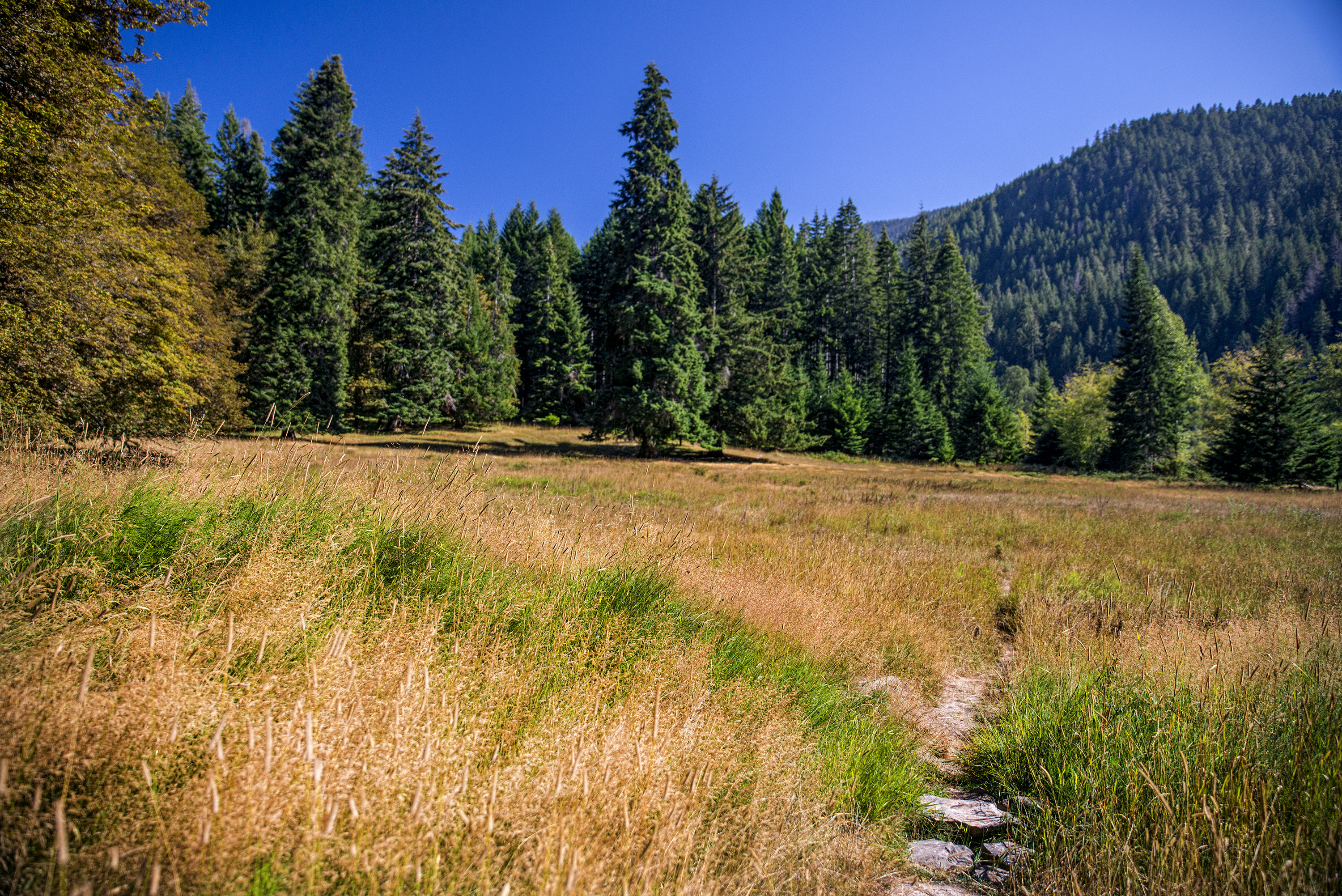 Humes Ranch and Goblin Gates