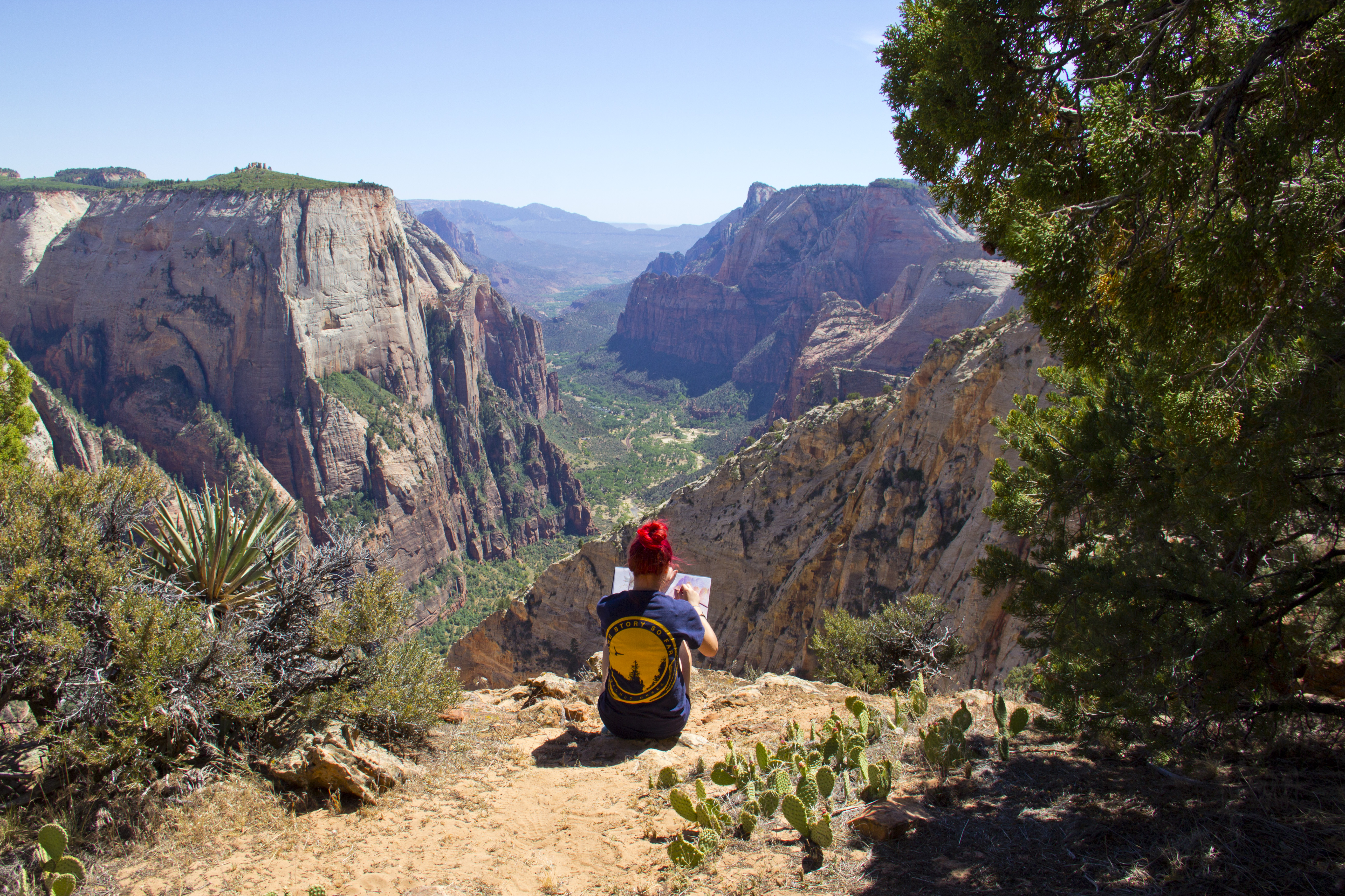 Hike Observation Point