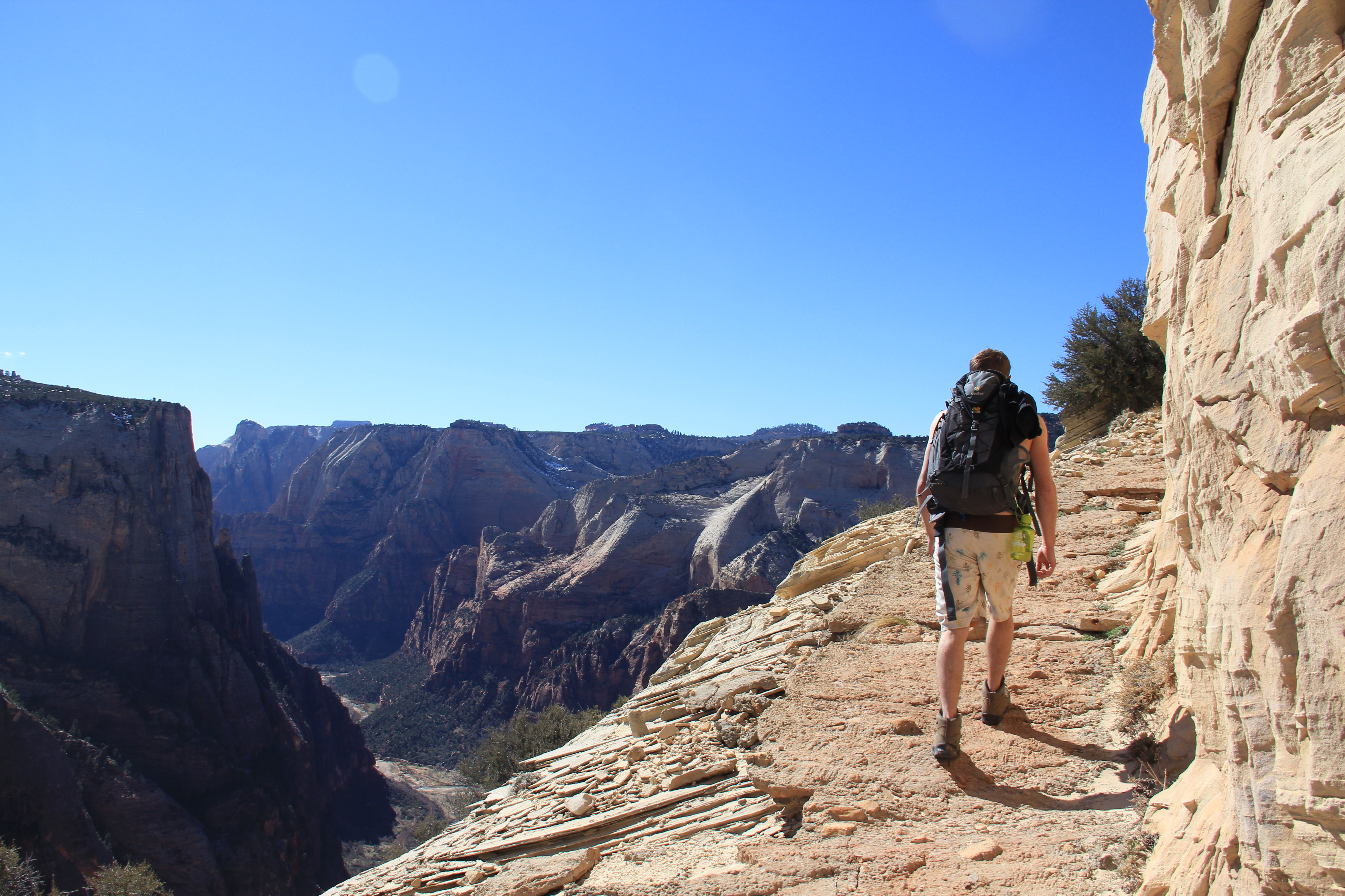 Hike Observation Point