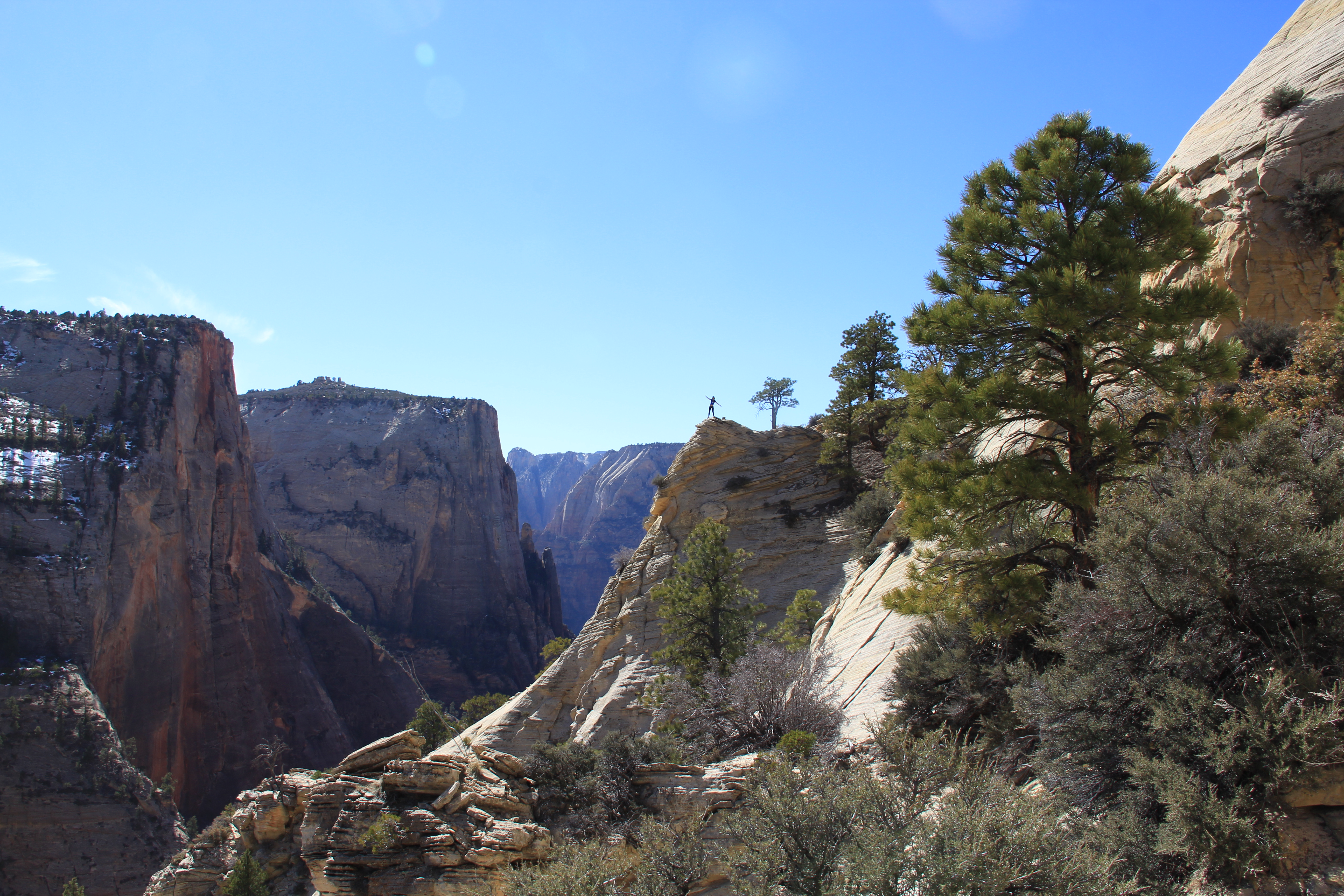 Hike Observation Point