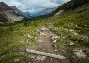 Overnight in the Skoki Backcountry
