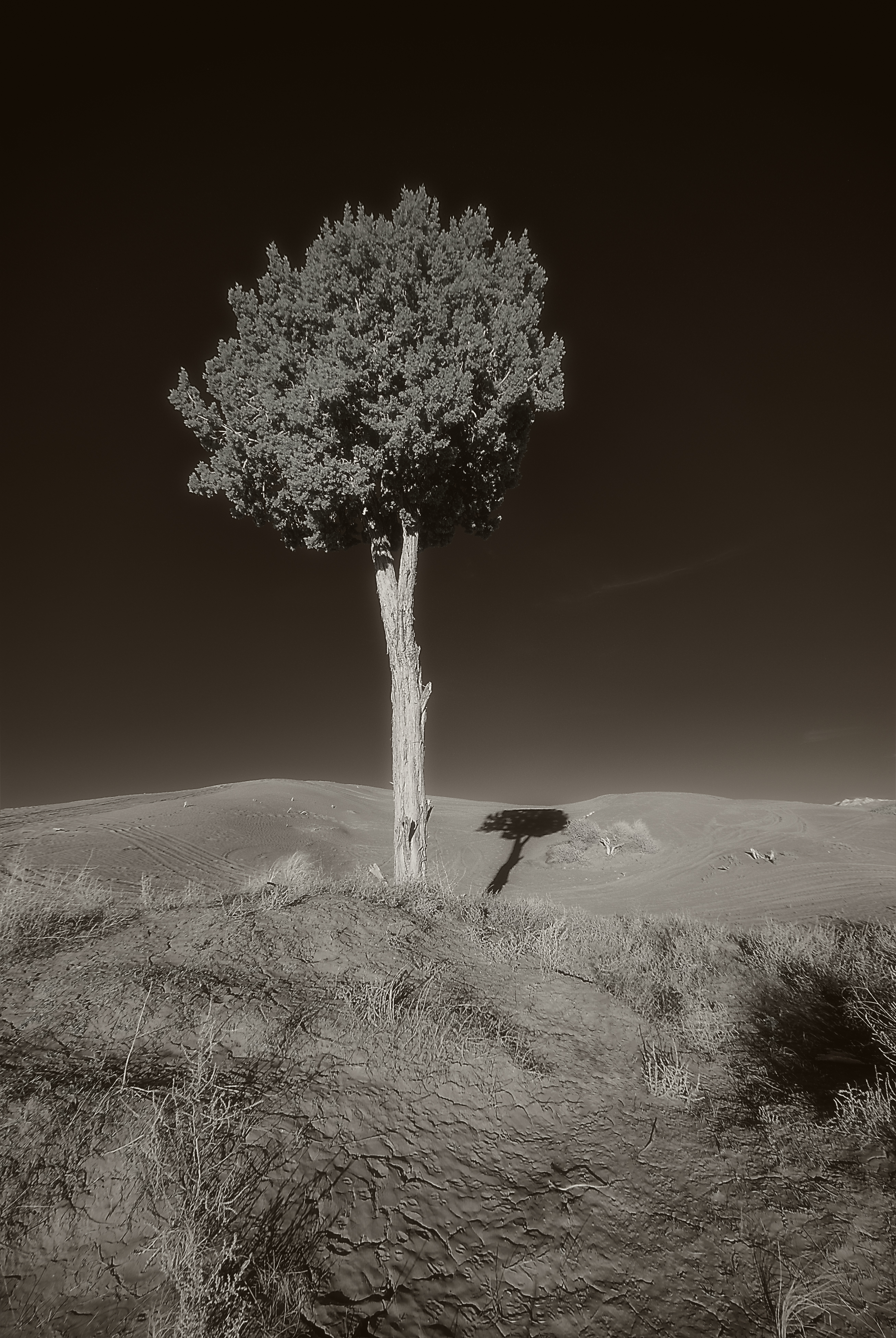 Photographing Little Sahara Recreation Area