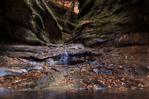 Hike the Turkey Run Trail System