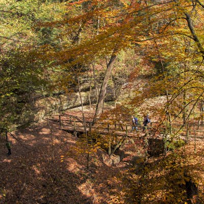 Hike the Turkey Run Trail System