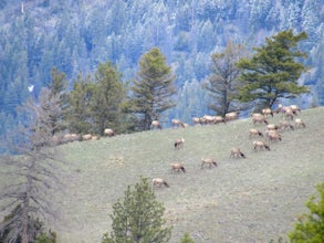 Hike the Hogback Ridge Trail