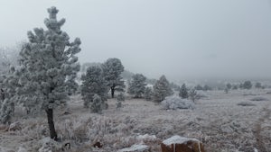 Trail Run Near Boulder - NCAR Hill Climb