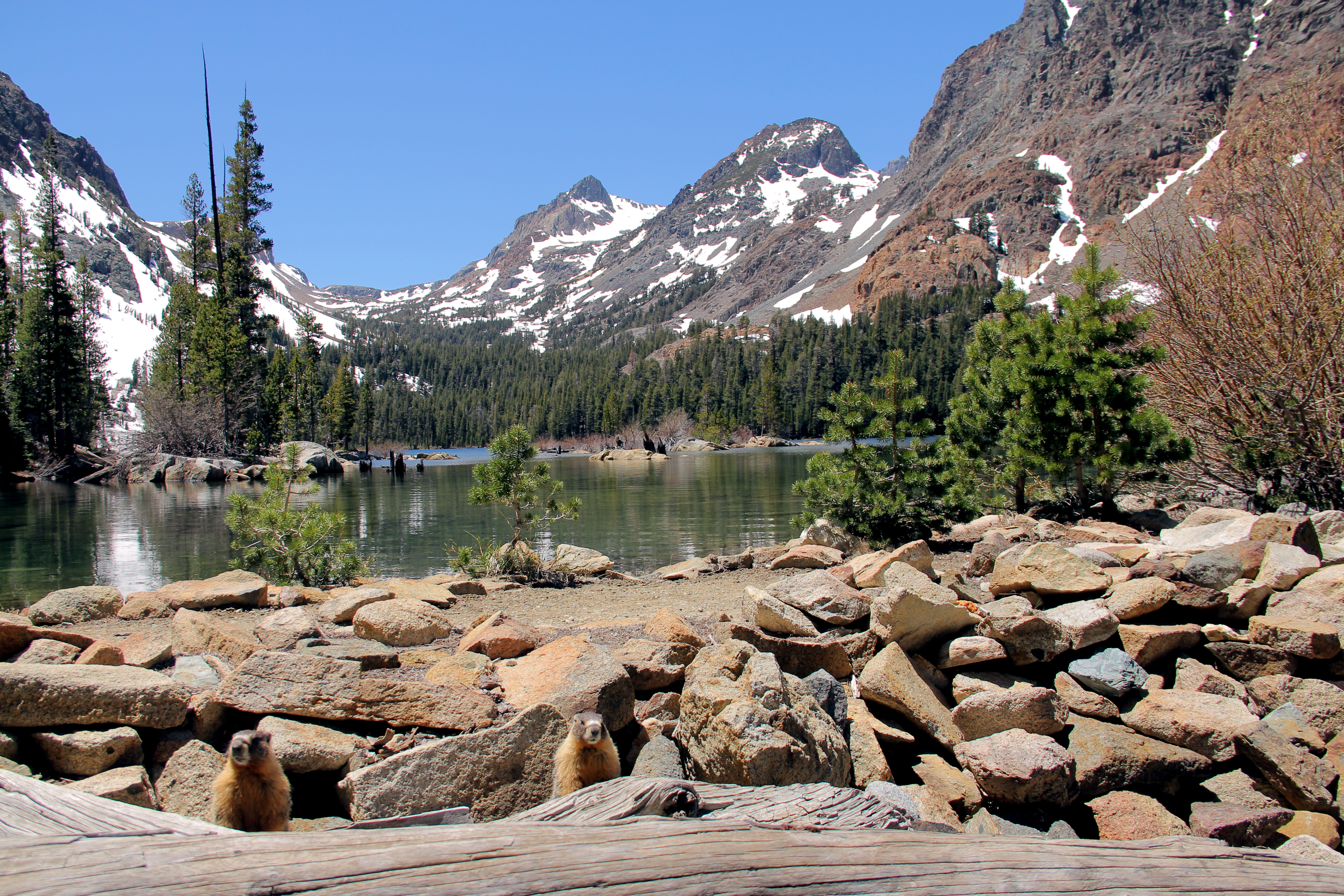 Early Spring in the Eastern Sierras: Green Creek Backpack