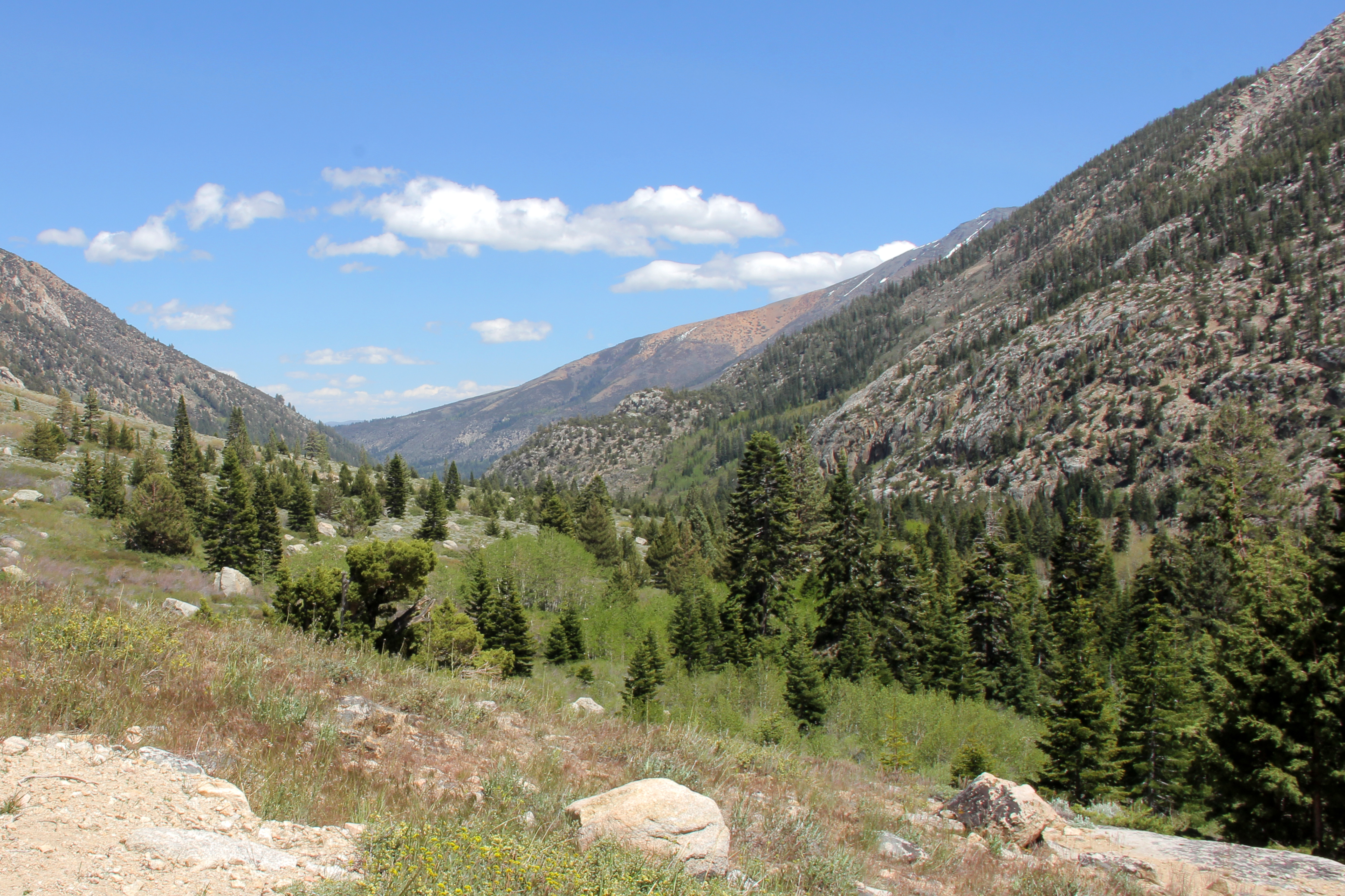 Early Spring in the Eastern Sierras: Green Creek Backpack