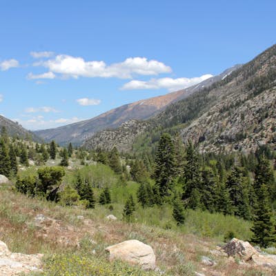 Early Spring in the Eastern Sierras: Green Creek Backpack