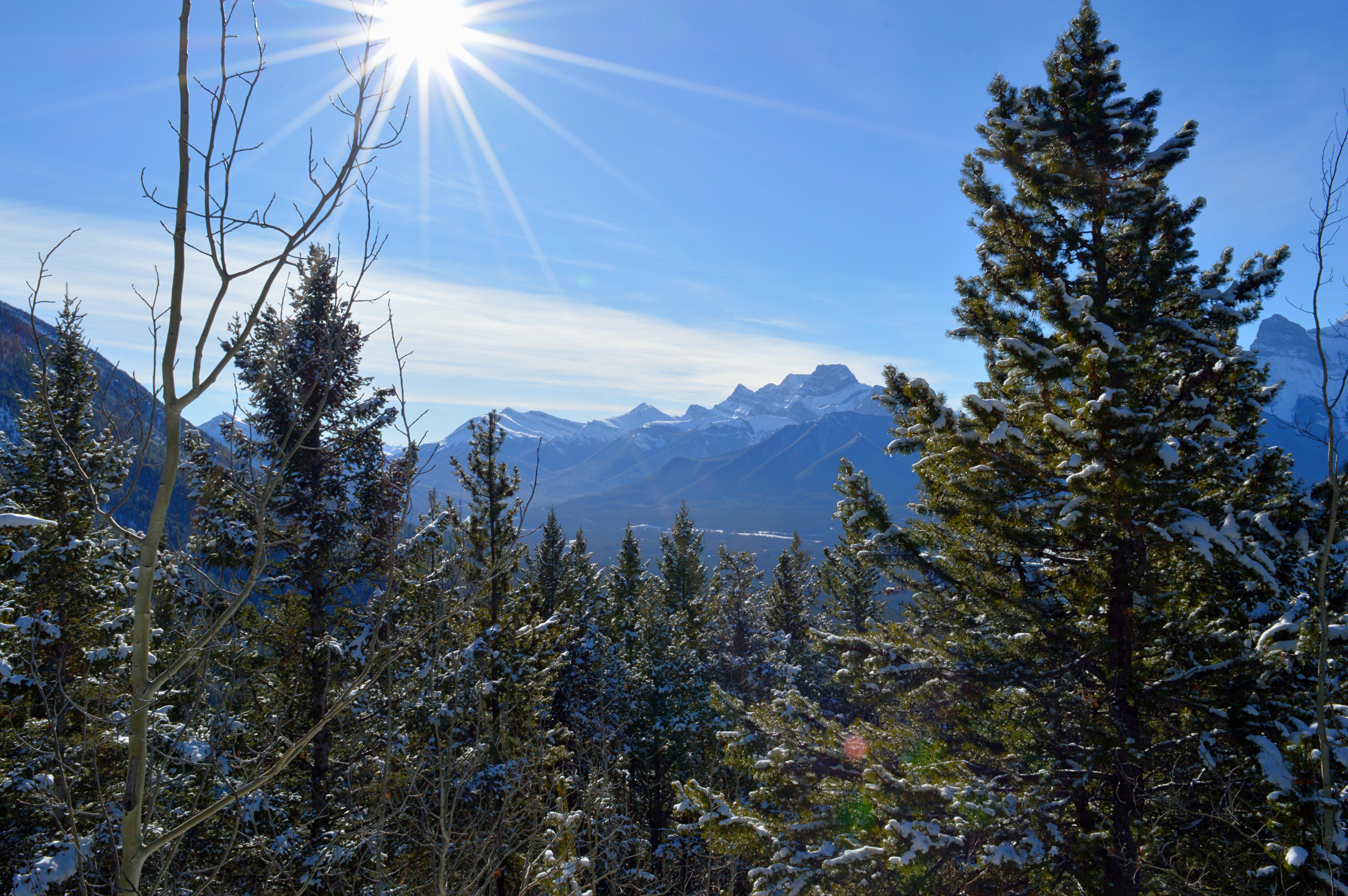 Mount Lady Macdonald Scramble in Winter
