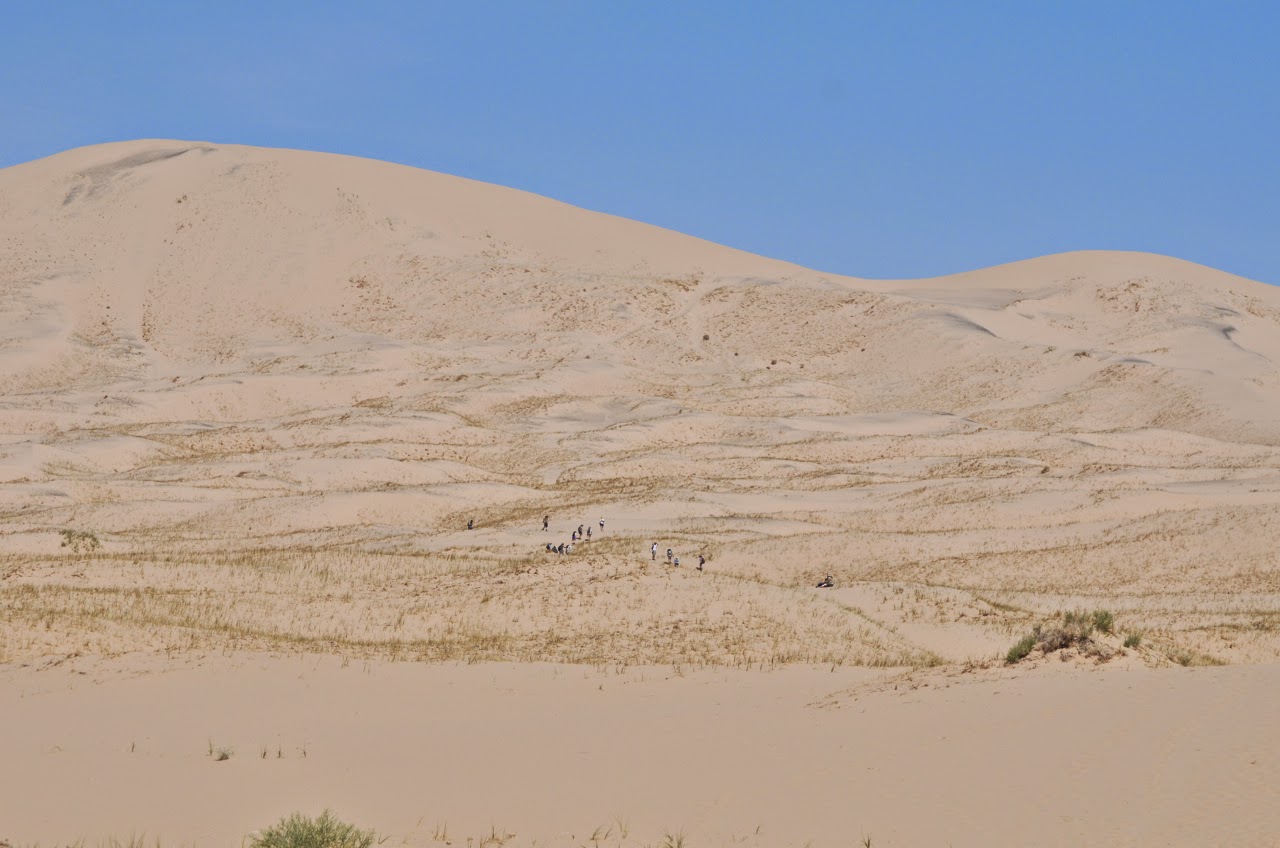 Kelso Dunes