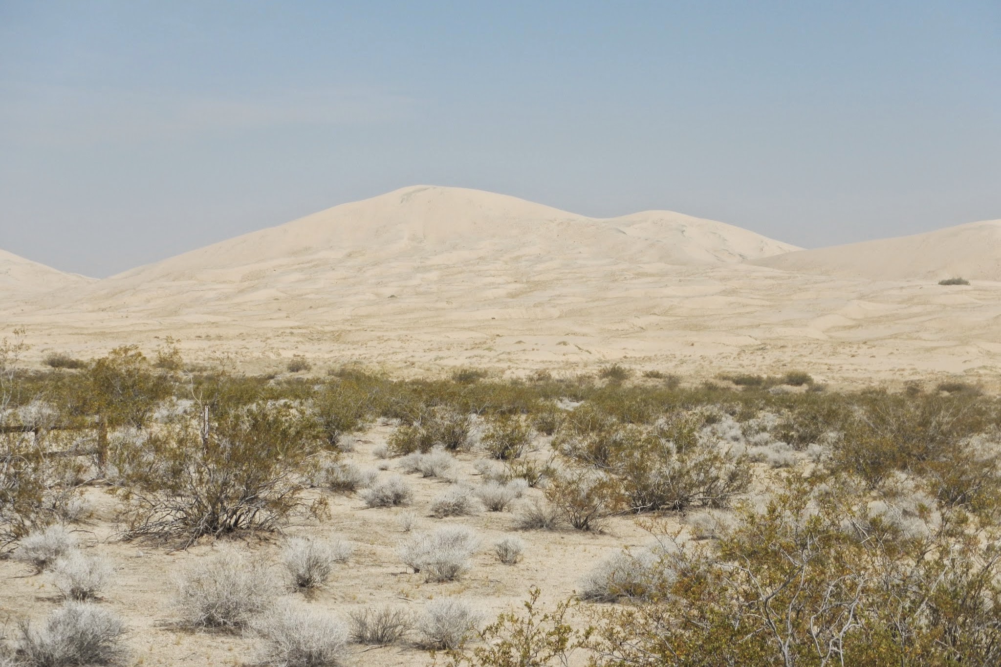 Kelso Dunes