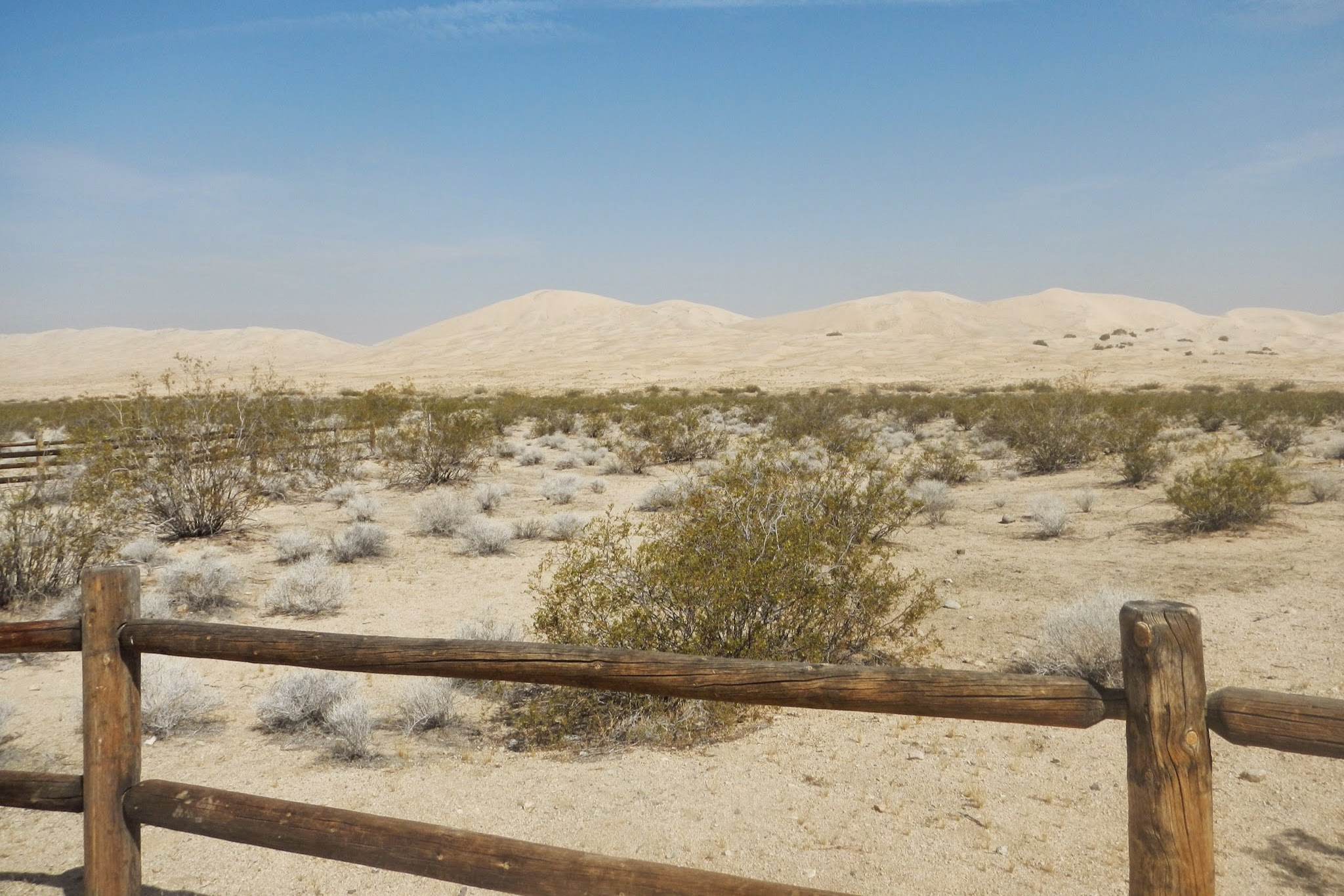 Kelso Dunes