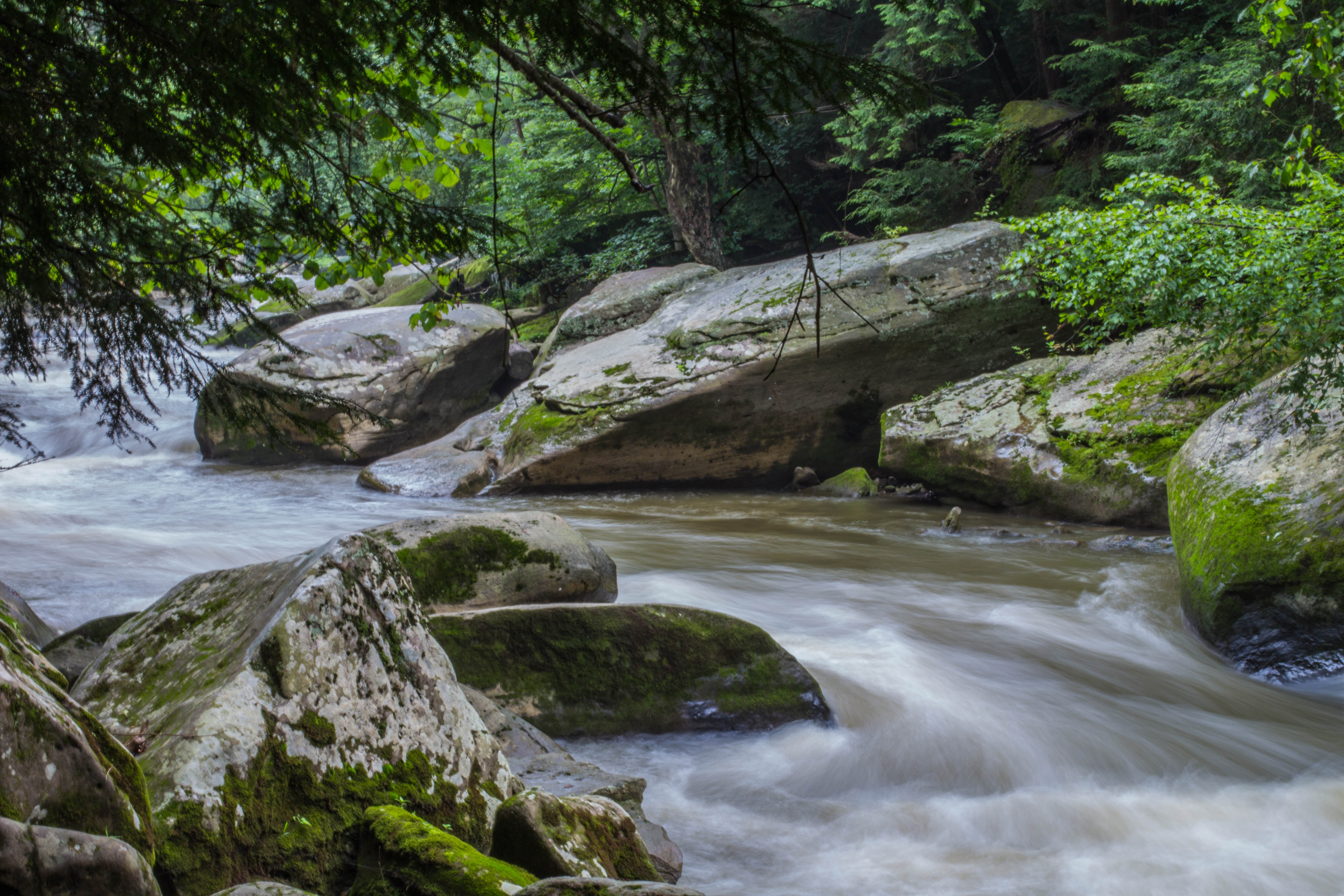 Hike McConnell's Mill State Park