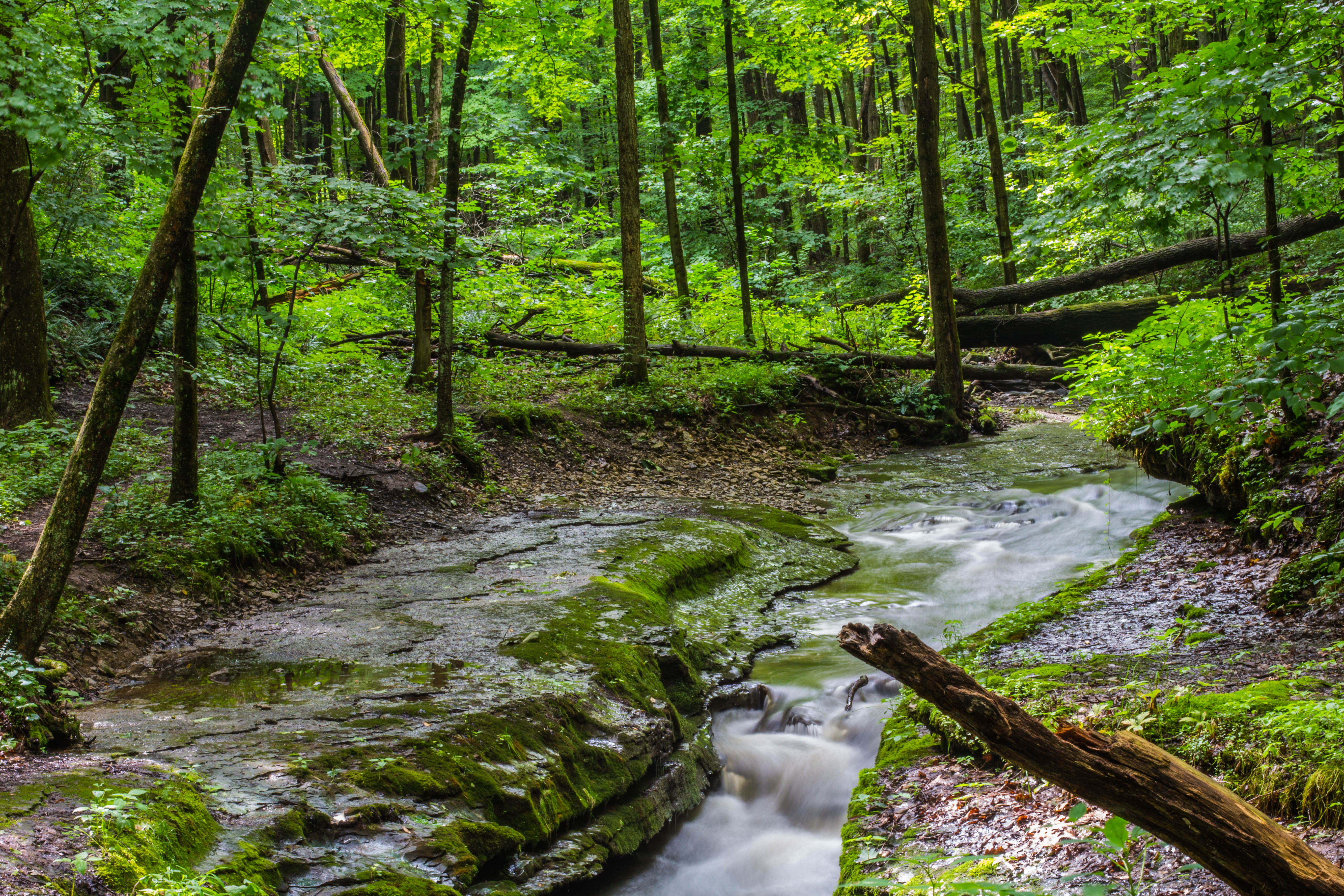 Hike McConnell's Mill State Park
