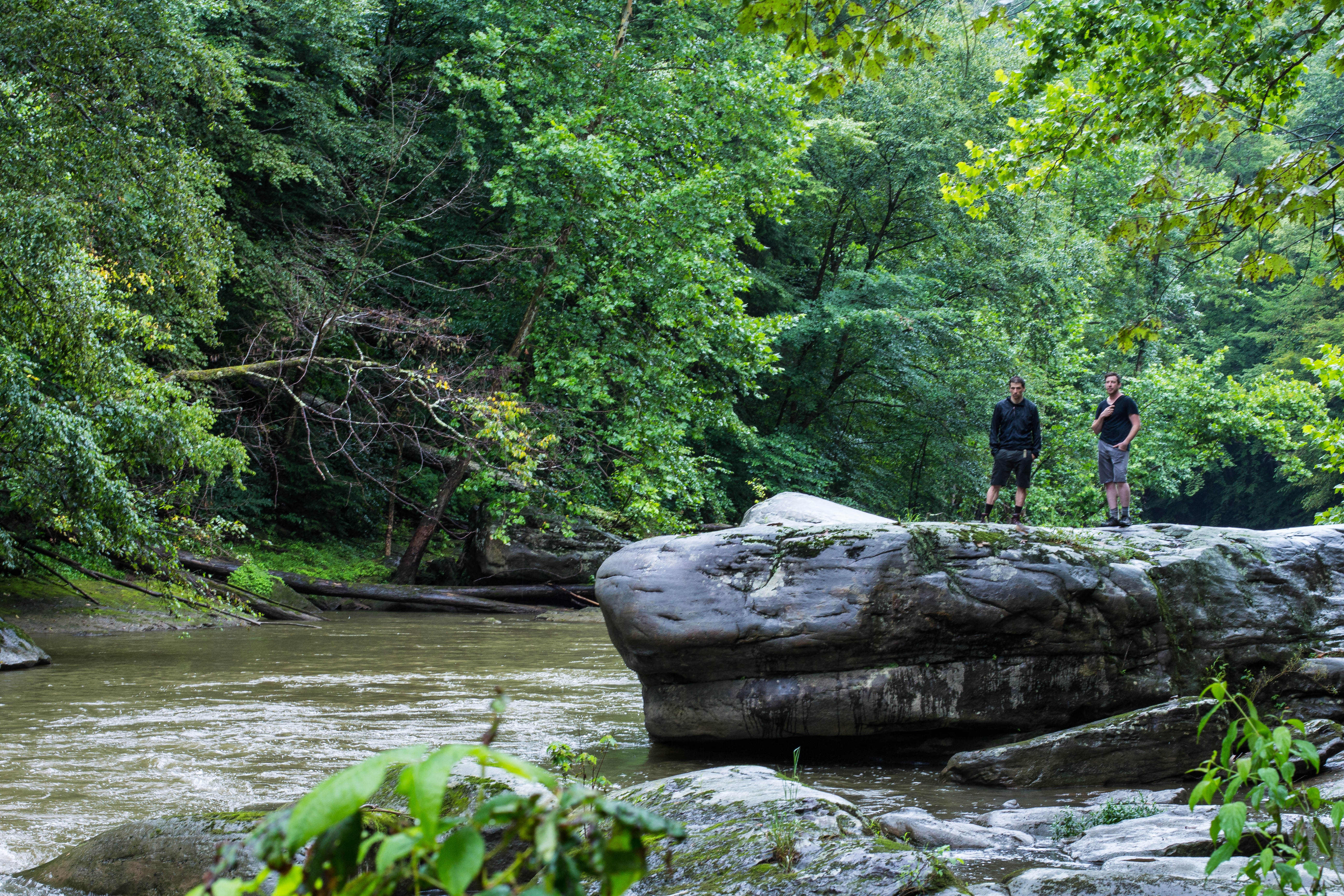 Hike McConnell's Mill State Park