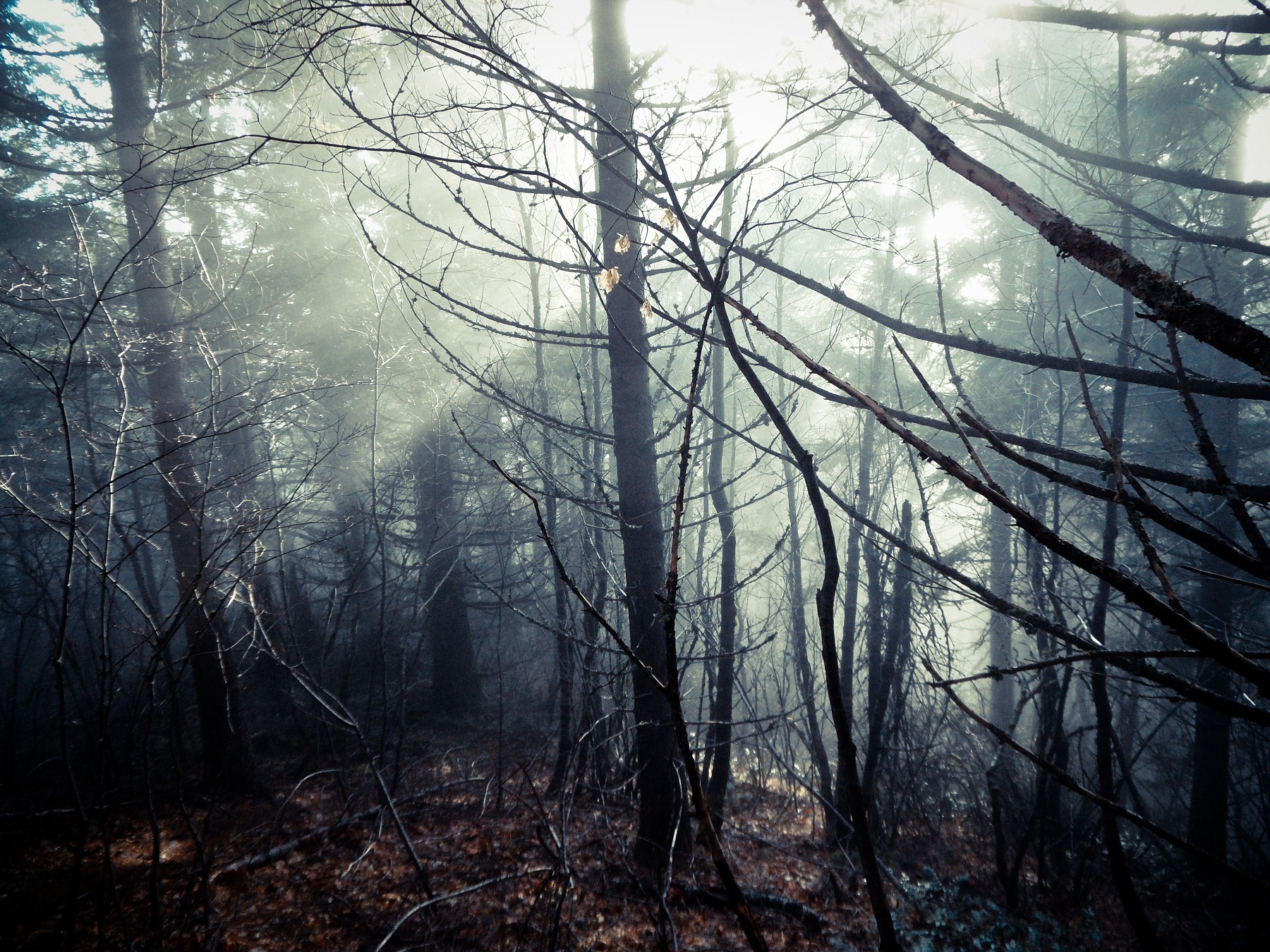 Table Mountain via Aldrich Butte Trailhead