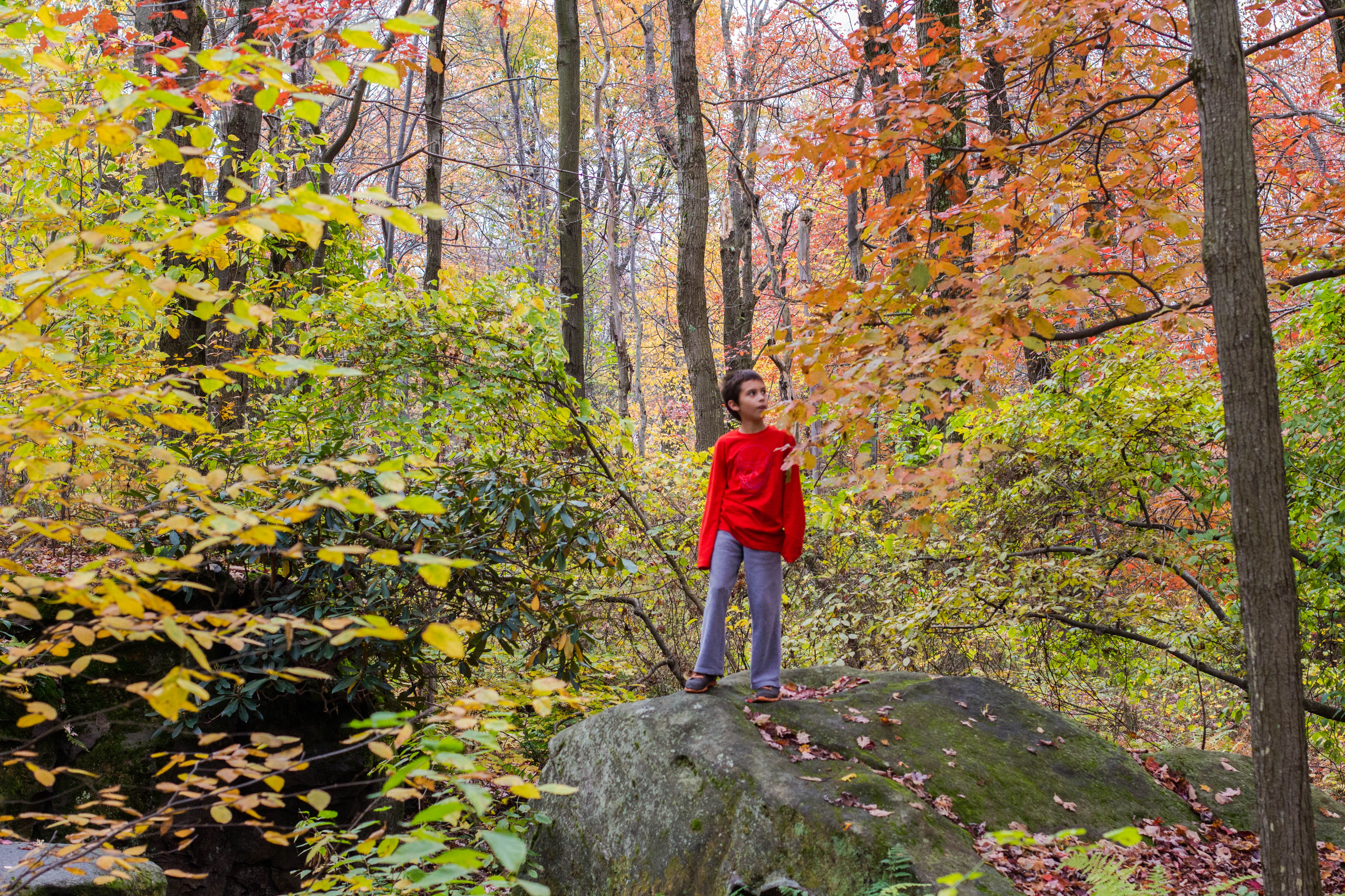 Hike to Wolf Rocks