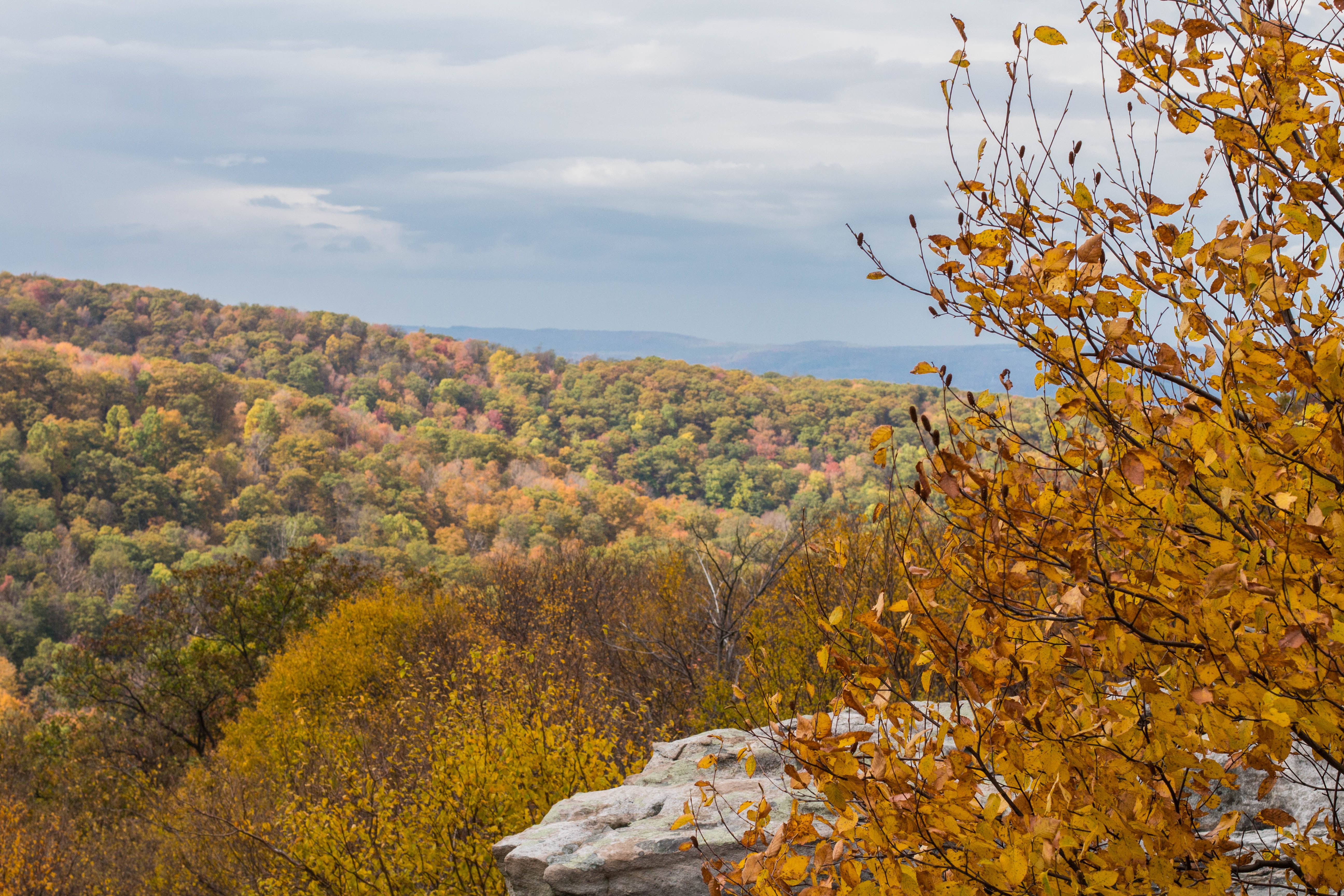 Hike to Wolf Rocks