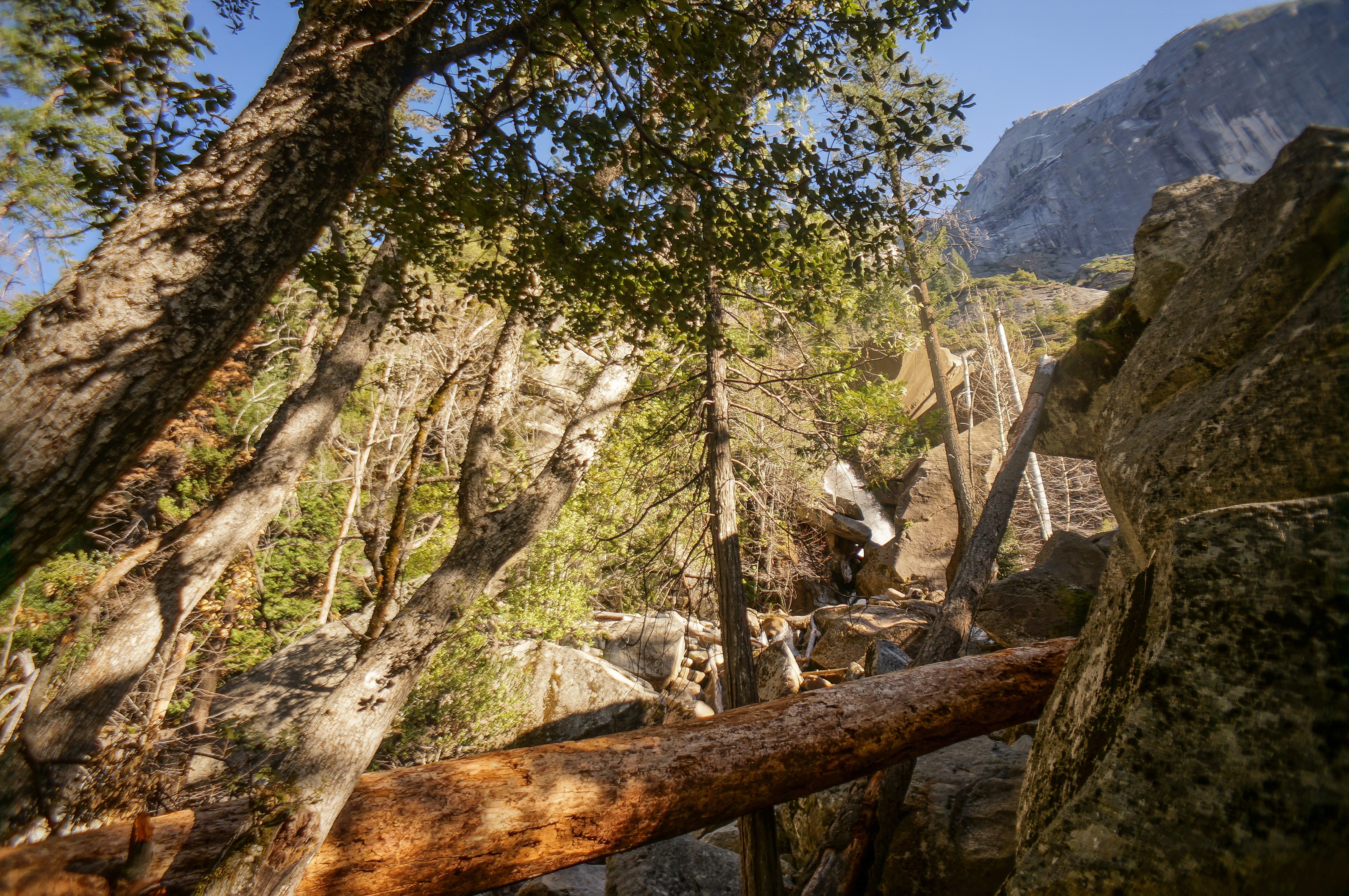 Hike to Hidden Falls (aka Tenaya Creek Falls)