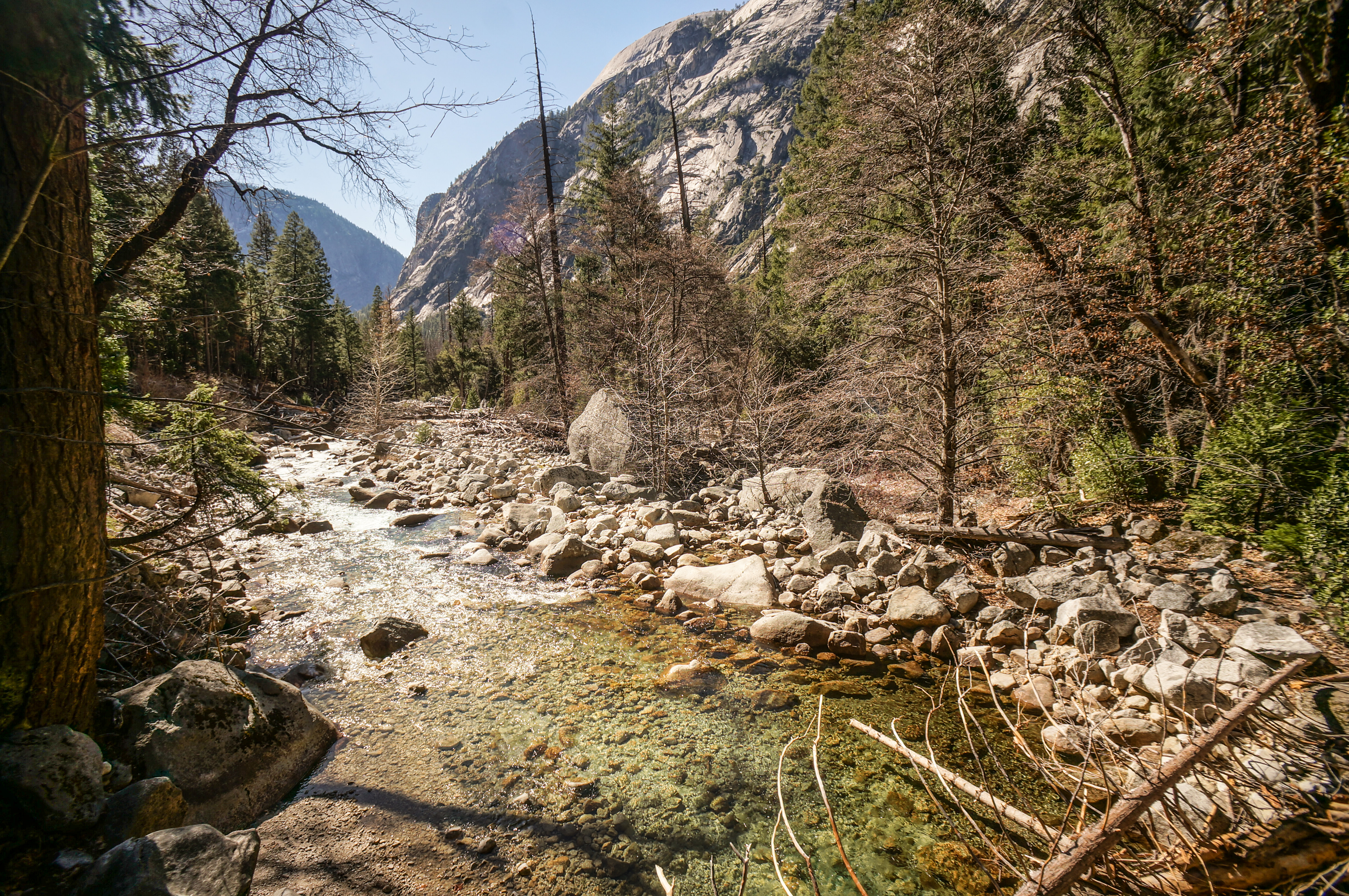 Hike to Hidden Falls (aka Tenaya Creek Falls)
