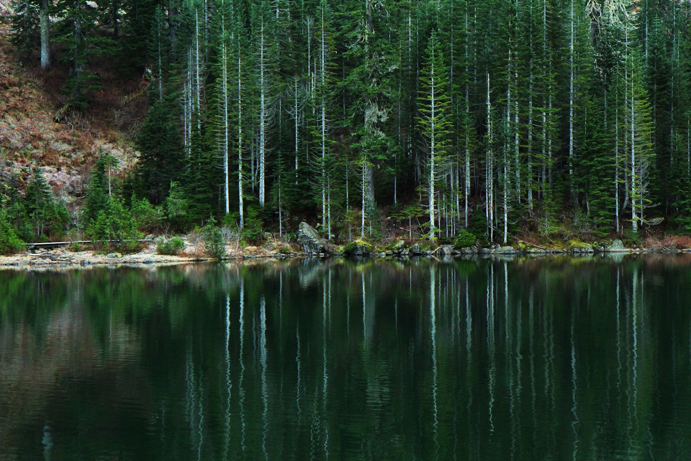 Explore 25 Gorgeous Lakes in Washington