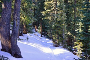 Hike the Resthouse/Lincoln Lake Trail