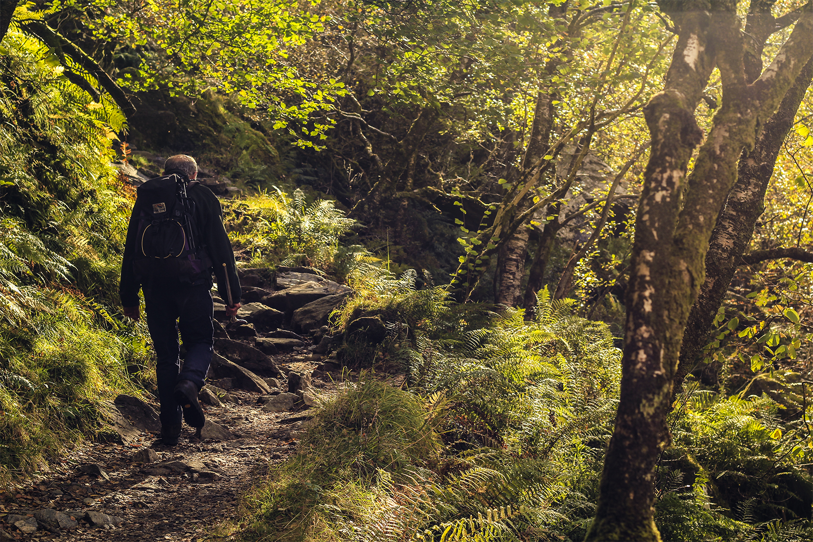 Explore Ft. William, Scotland's Steall Gorge