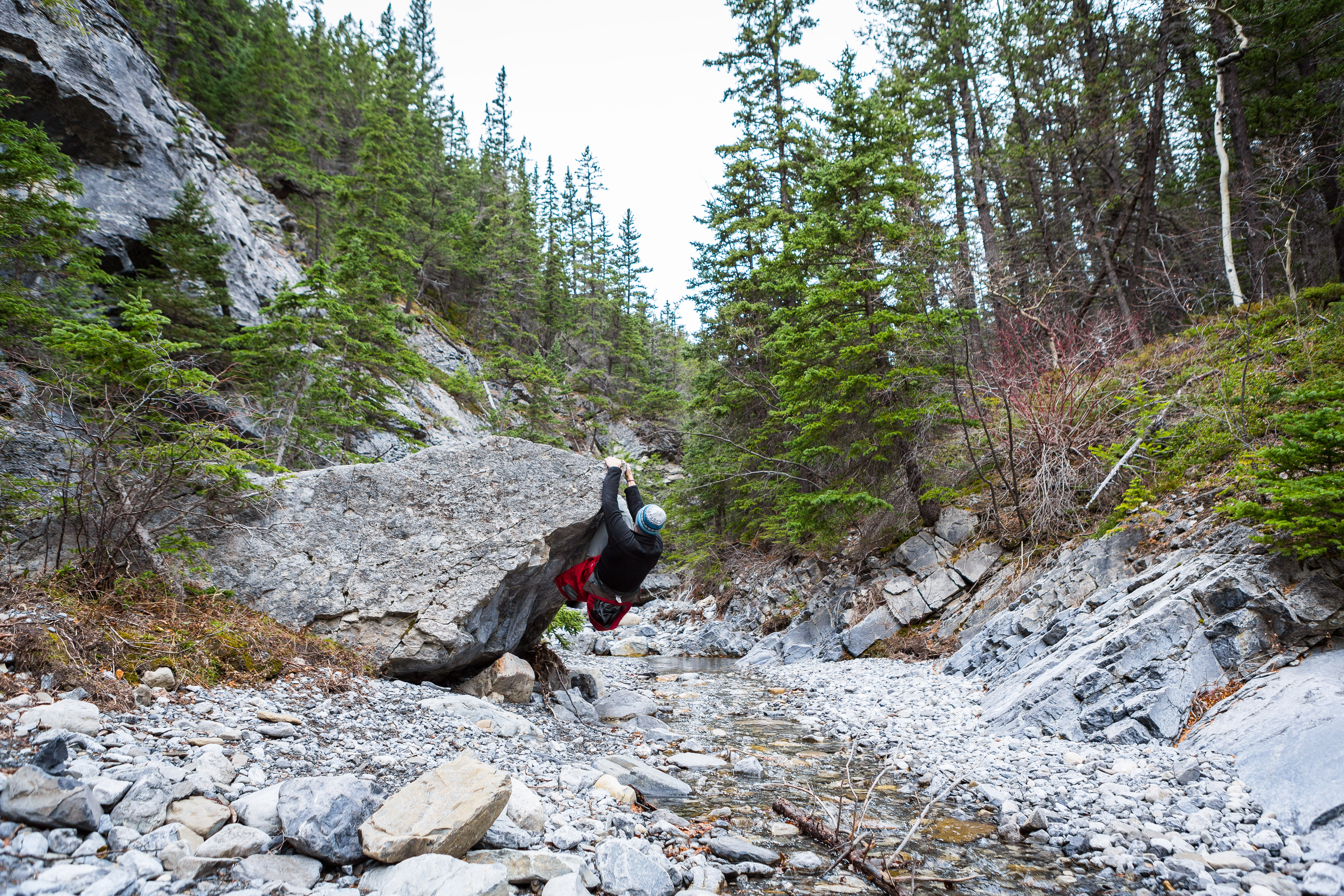 The best Trails and Outdoor Activities in and near Turner Valley, Alberta