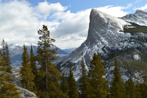 East End of Rundle Scramble