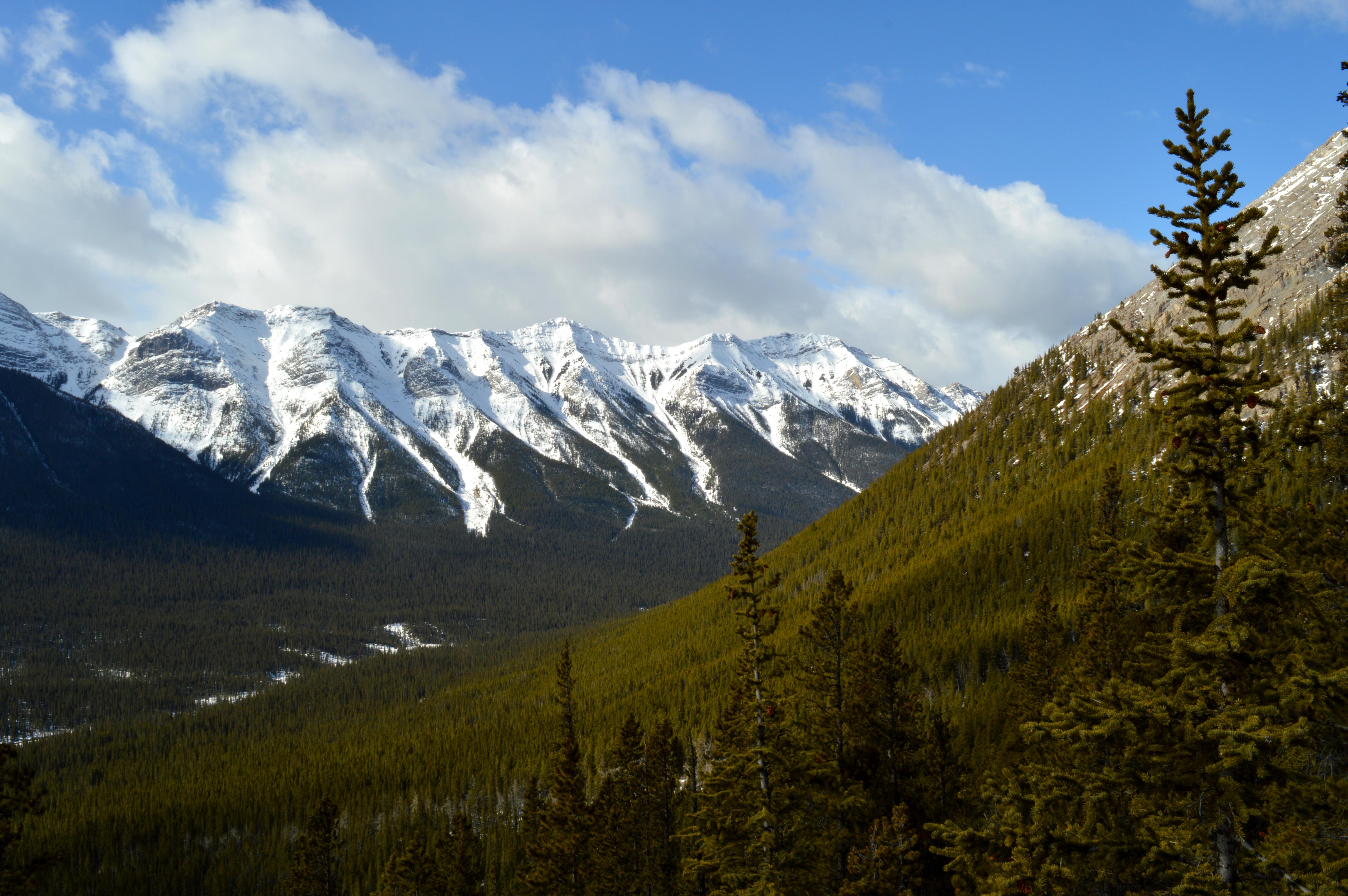 East End of Rundle Scramble