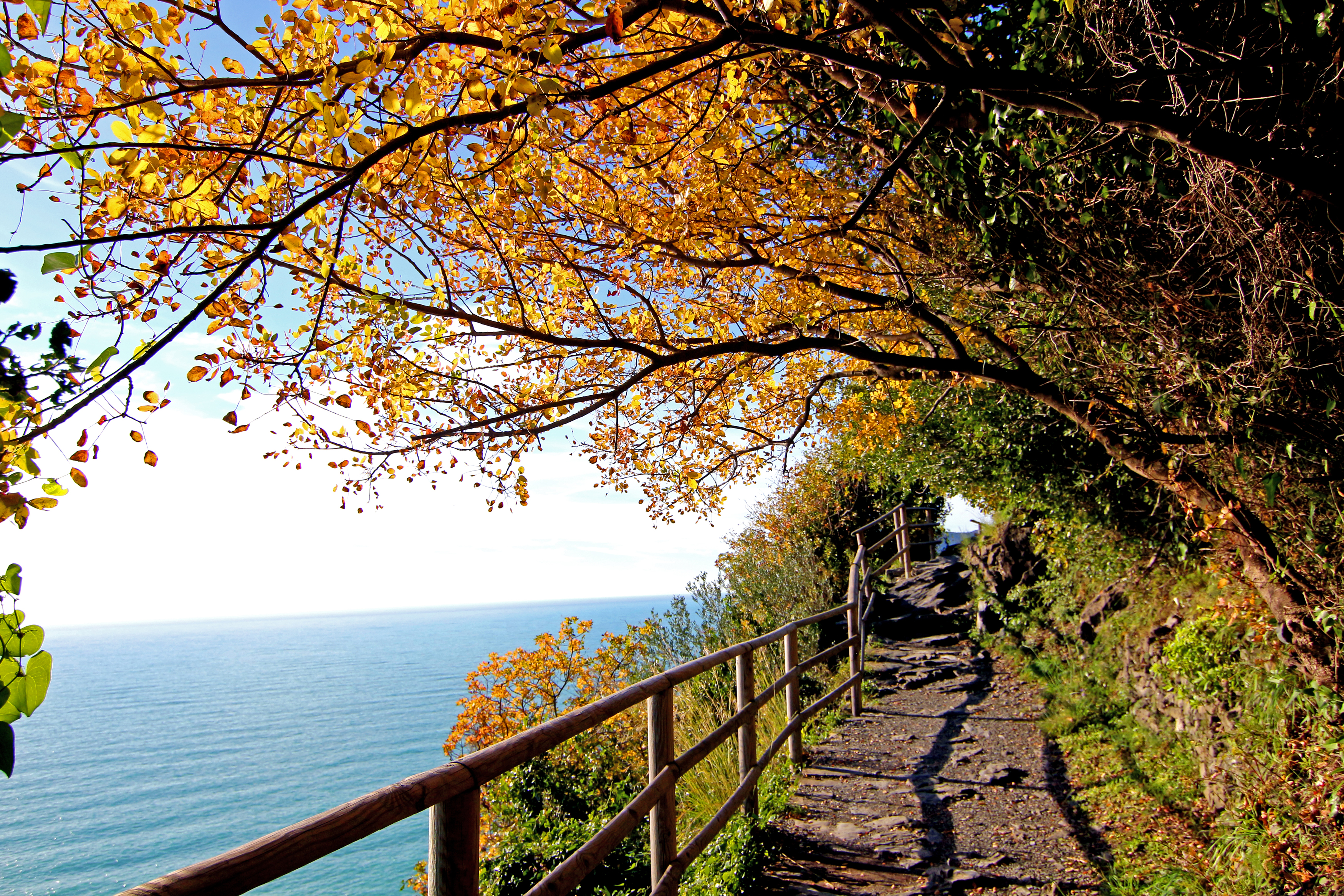 Hiking in Cinque Terre National Park