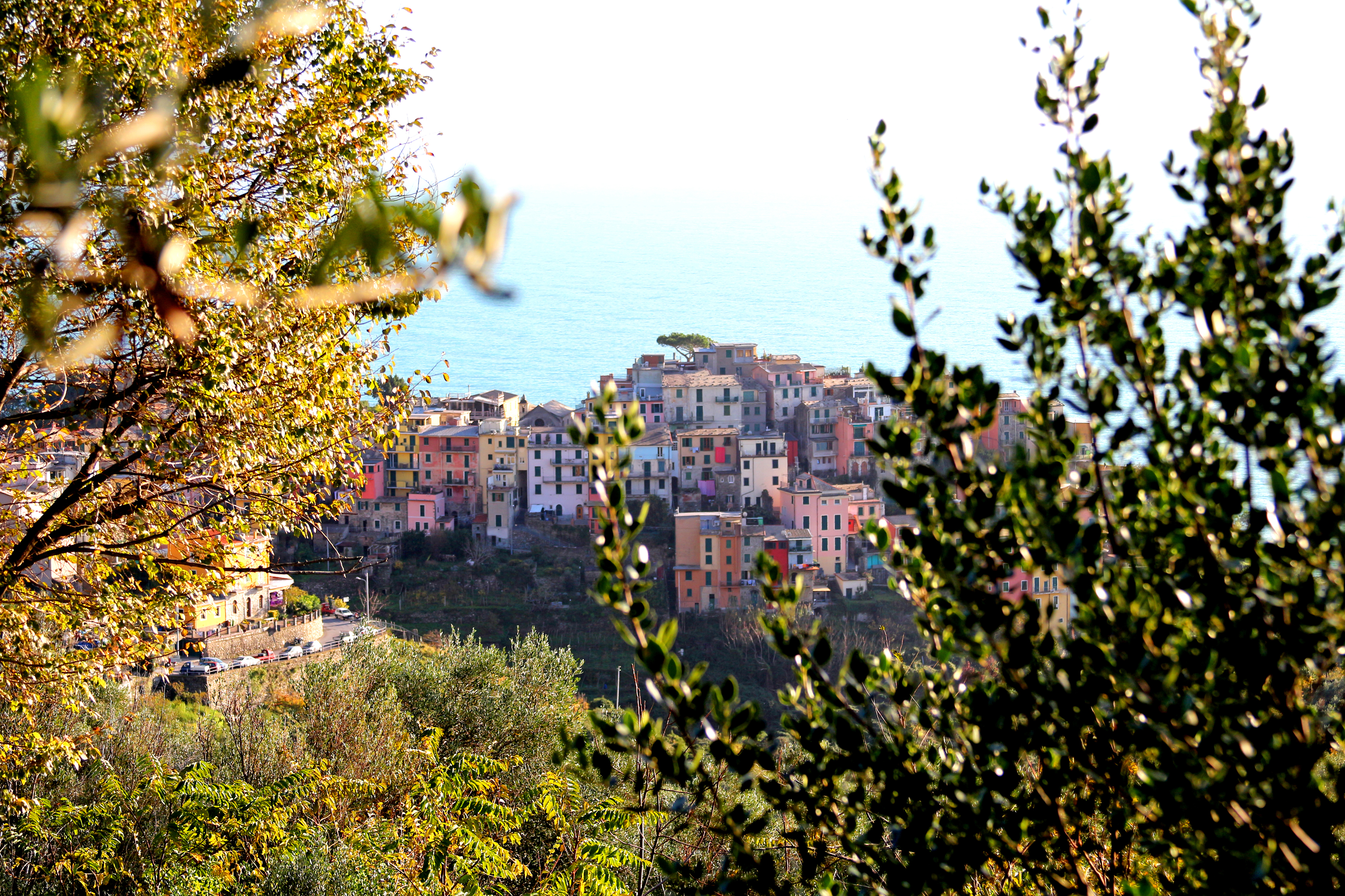 Hiking in Cinque Terre National Park