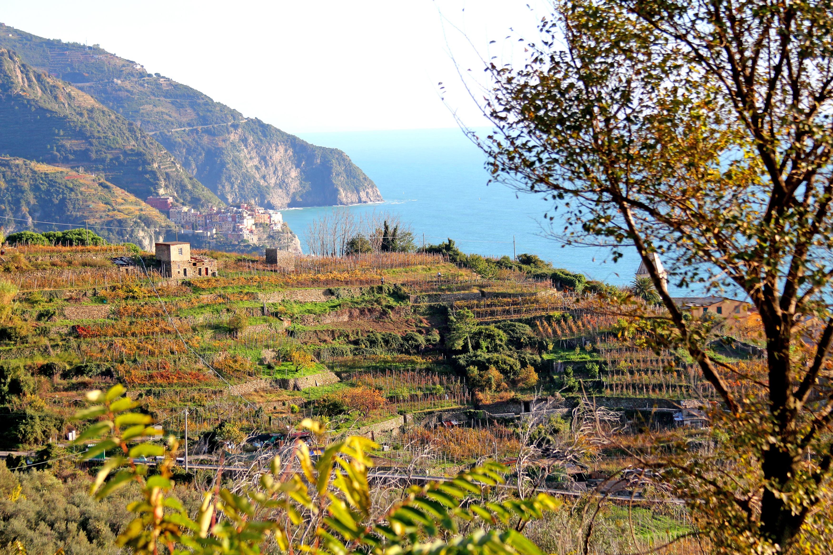 Hiking in Cinque Terre National Park