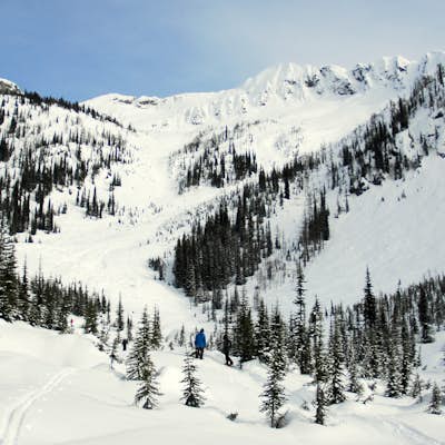 Ski Tour to the Summit of Half Dome