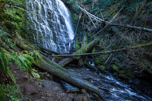 Short Hike to University Falls