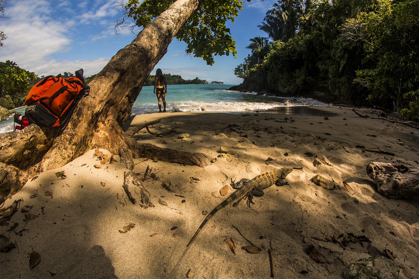 Explore Playa Espadilla Beach