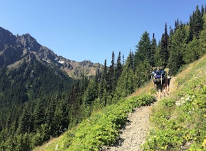 Backpack Marmot Pass