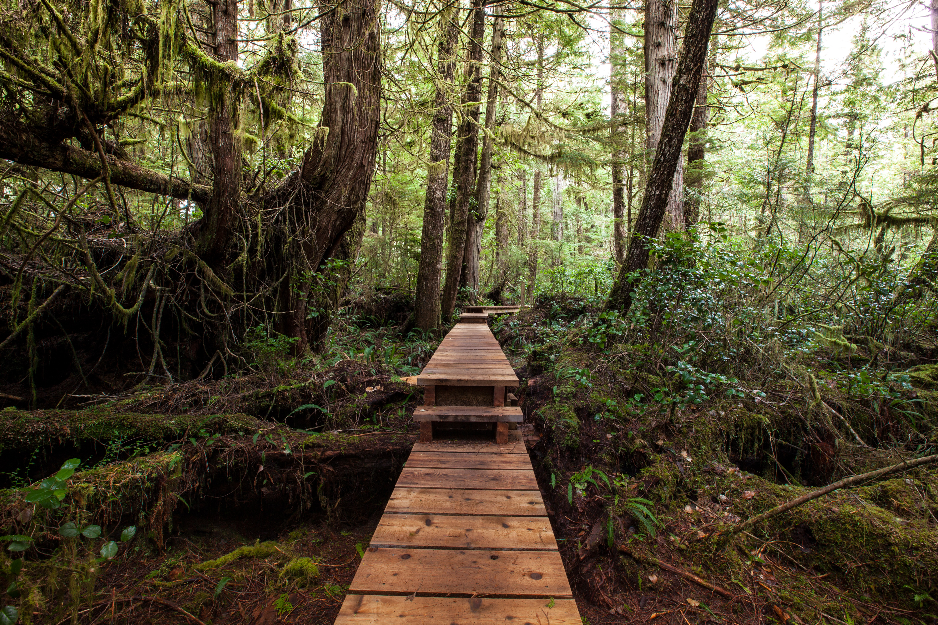 Hiking Willowbrae to Halfmoon Bay and Florencia Bay, Ucluelet, British
