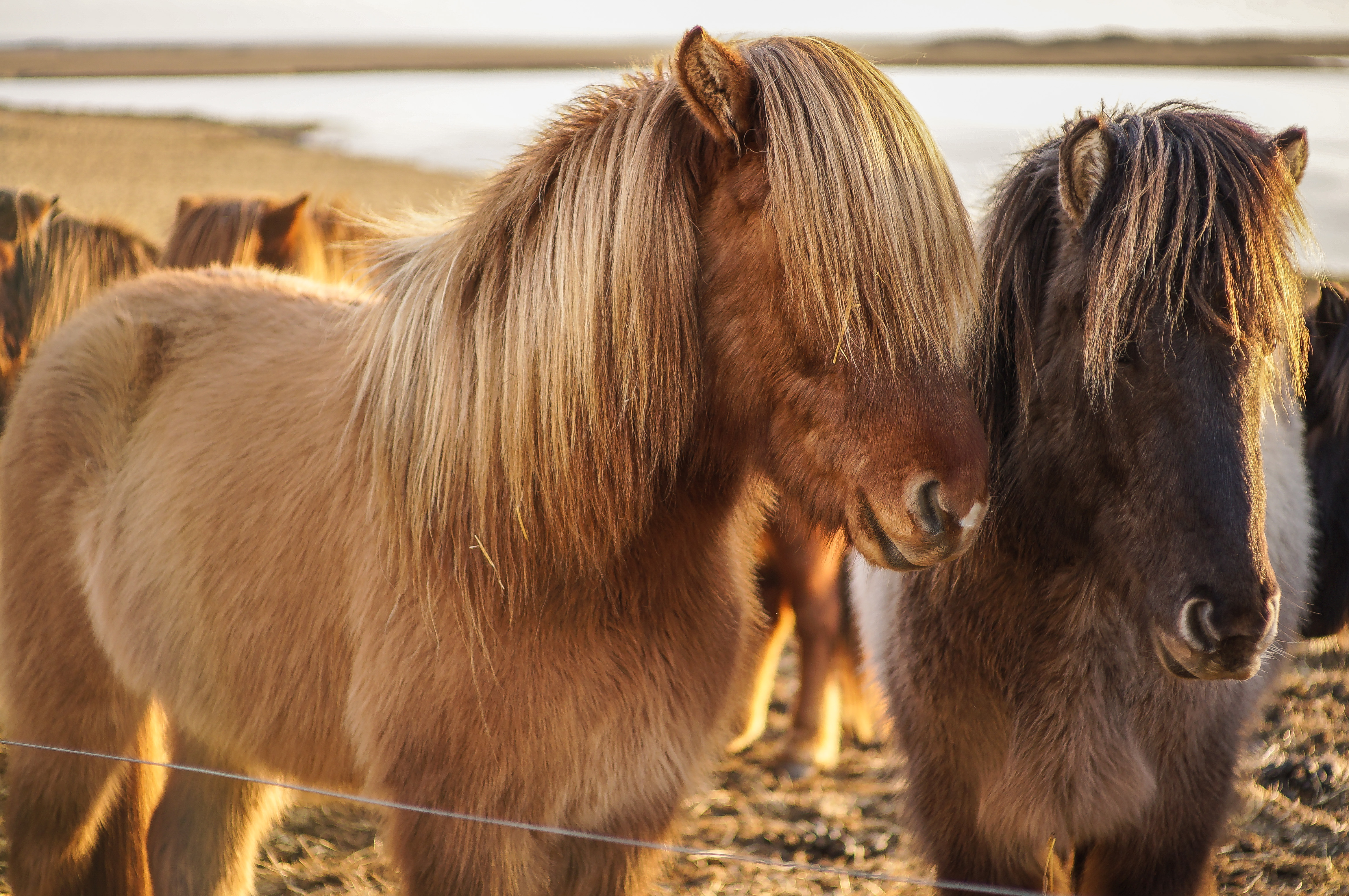 Explore Vestrahorn