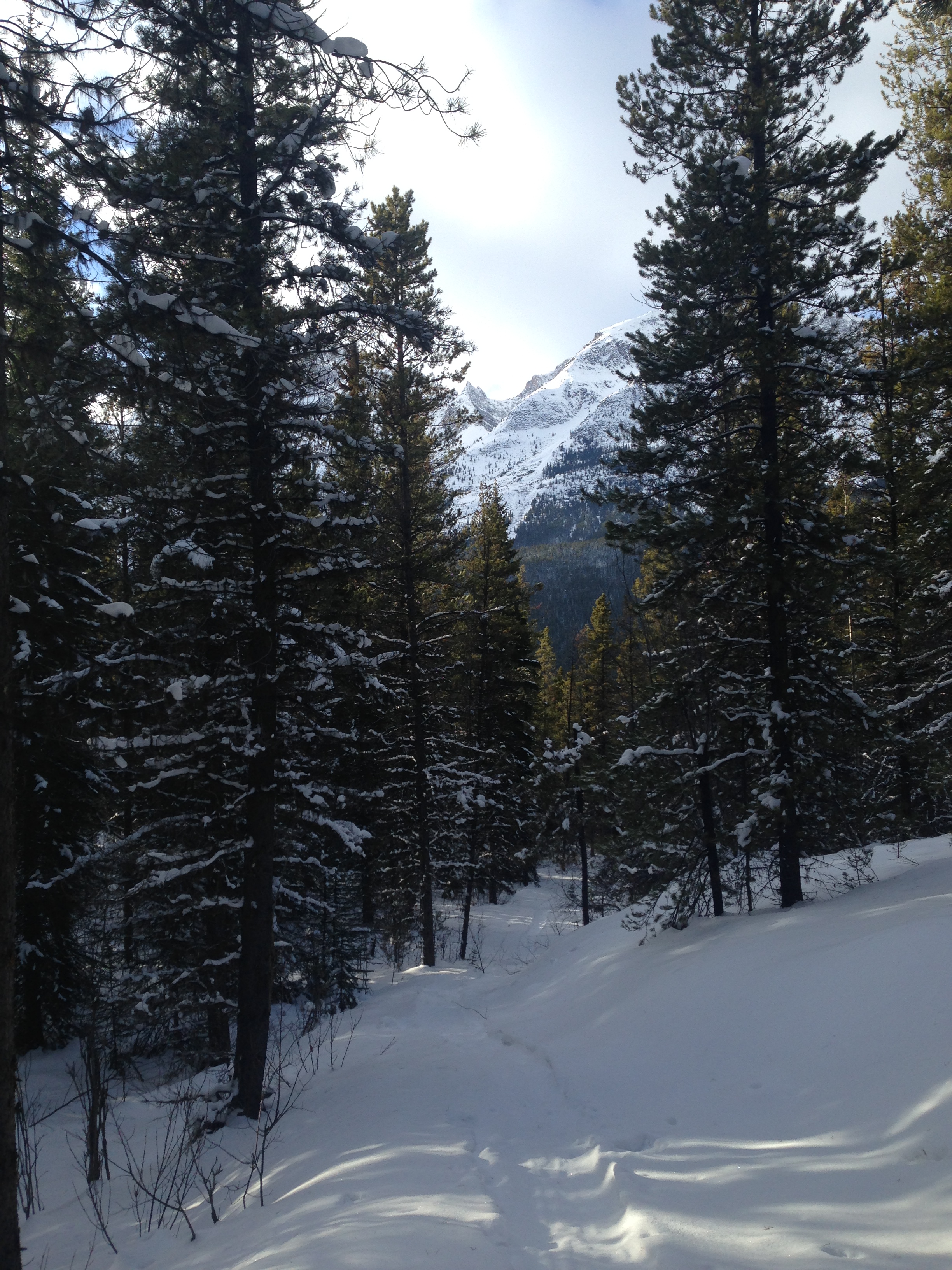 Snowshoe to Big Bend Campground
